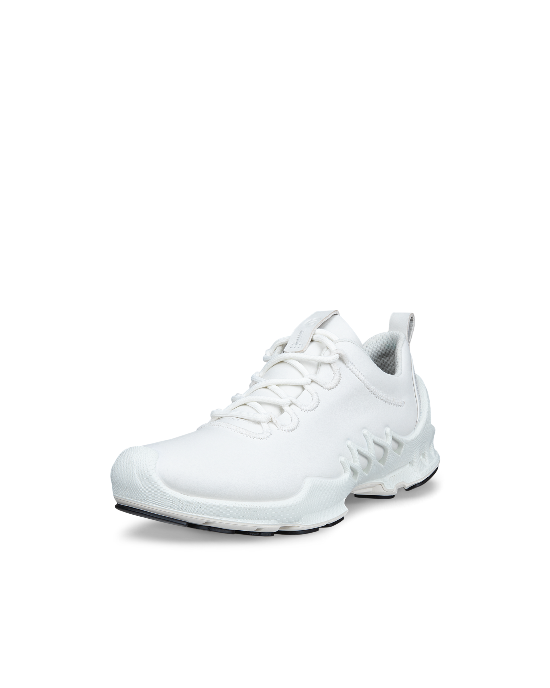 ECCO BIOM AEX WOMEN'S SNEAKER ウィメンズ レザーアウトドア