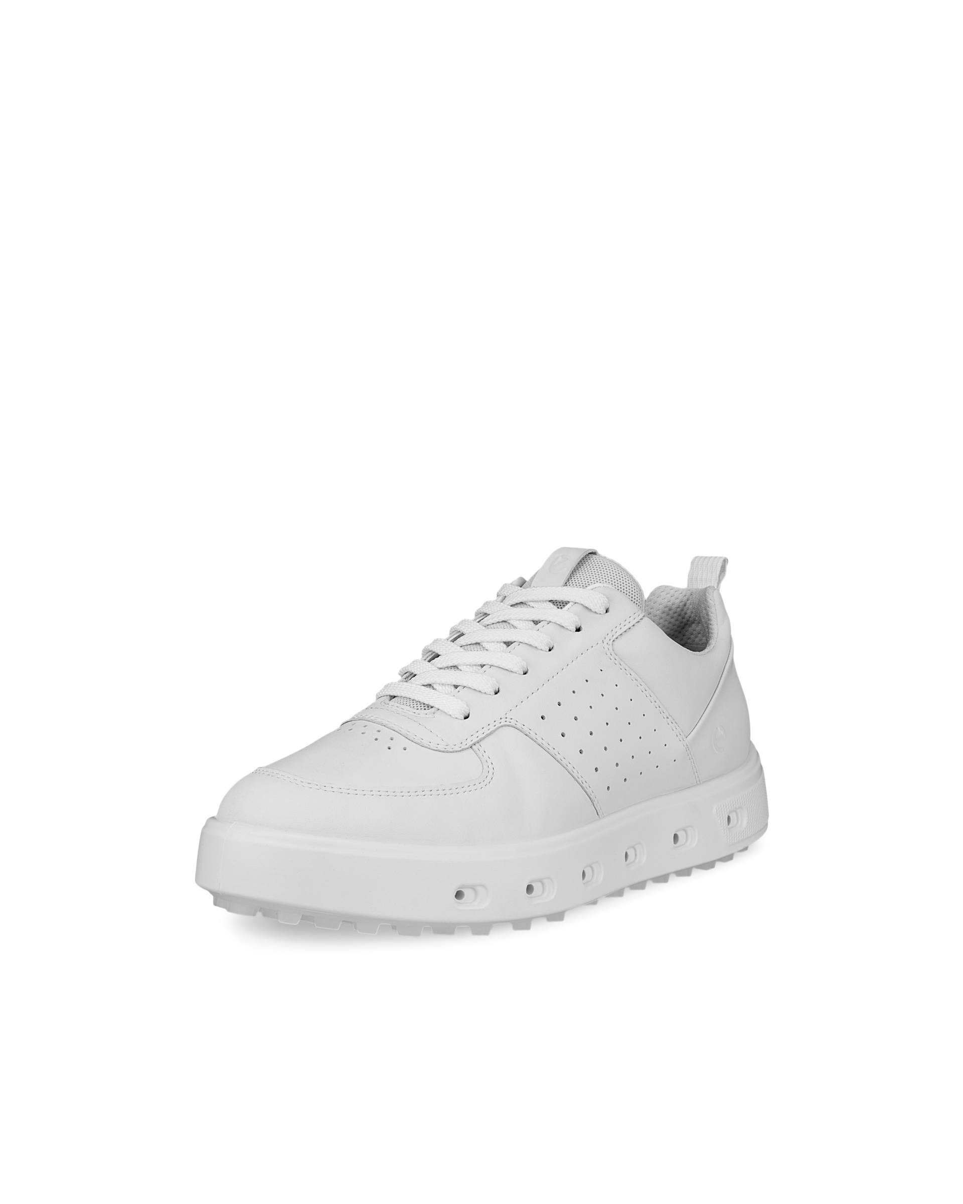 ecco BOA GORE-TEX ゴルフシューズ ECCO Golf BIOM C4 BOA Men メンズ レザーGore-Texゴルフ