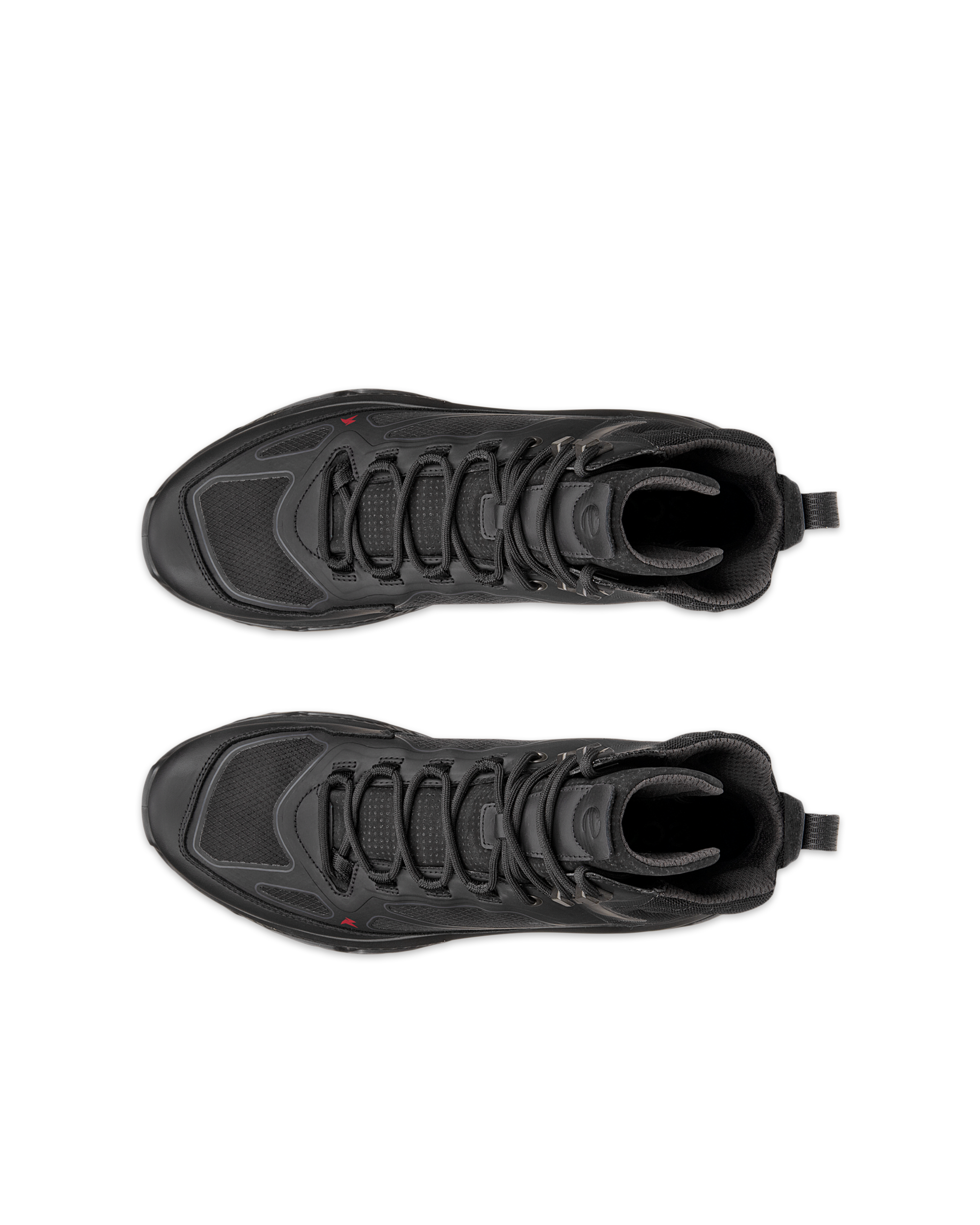 ECCO Receptor Xp — Black