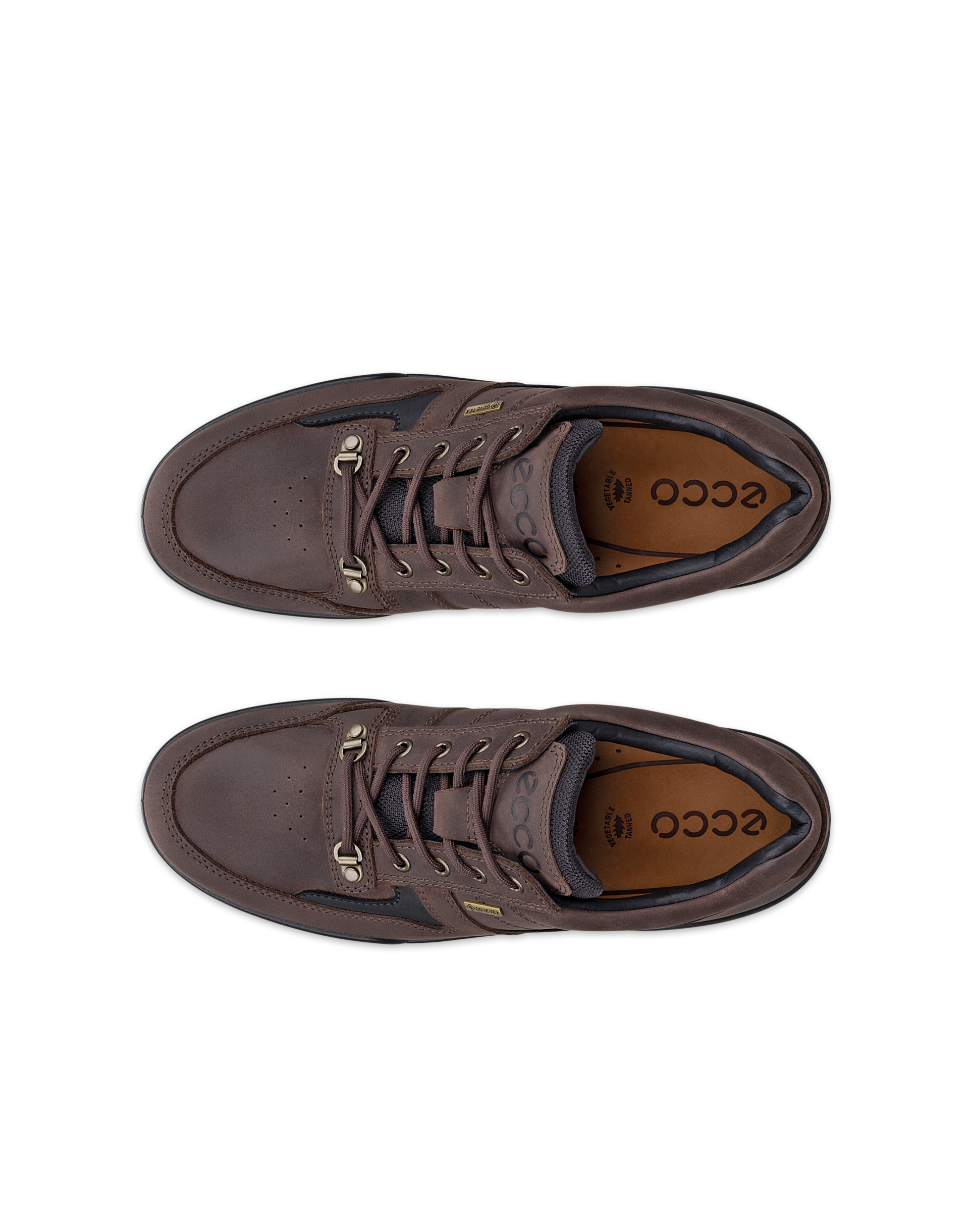 ECCO Track 25 — Brown