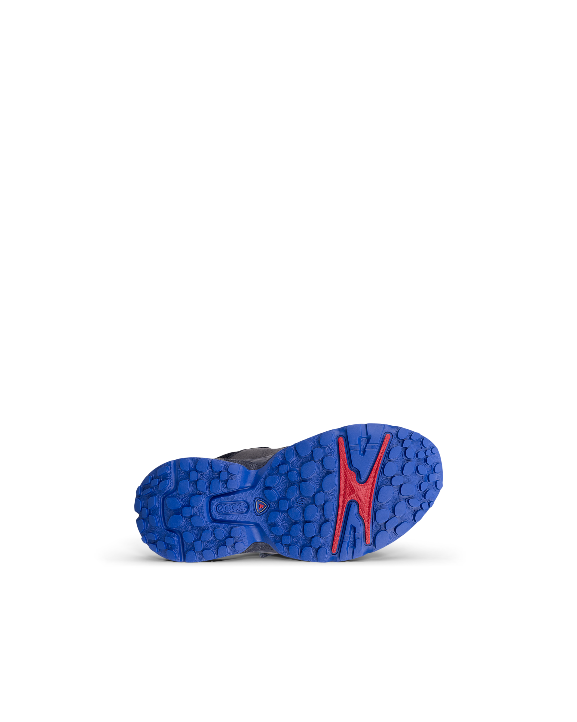 ECCO RECEPTOR XP — Blue