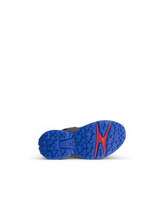 ECCO RECEPTOR XP — Blue 4