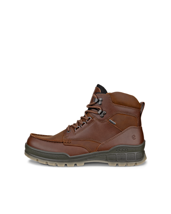 ECCO Track 25 — Brown