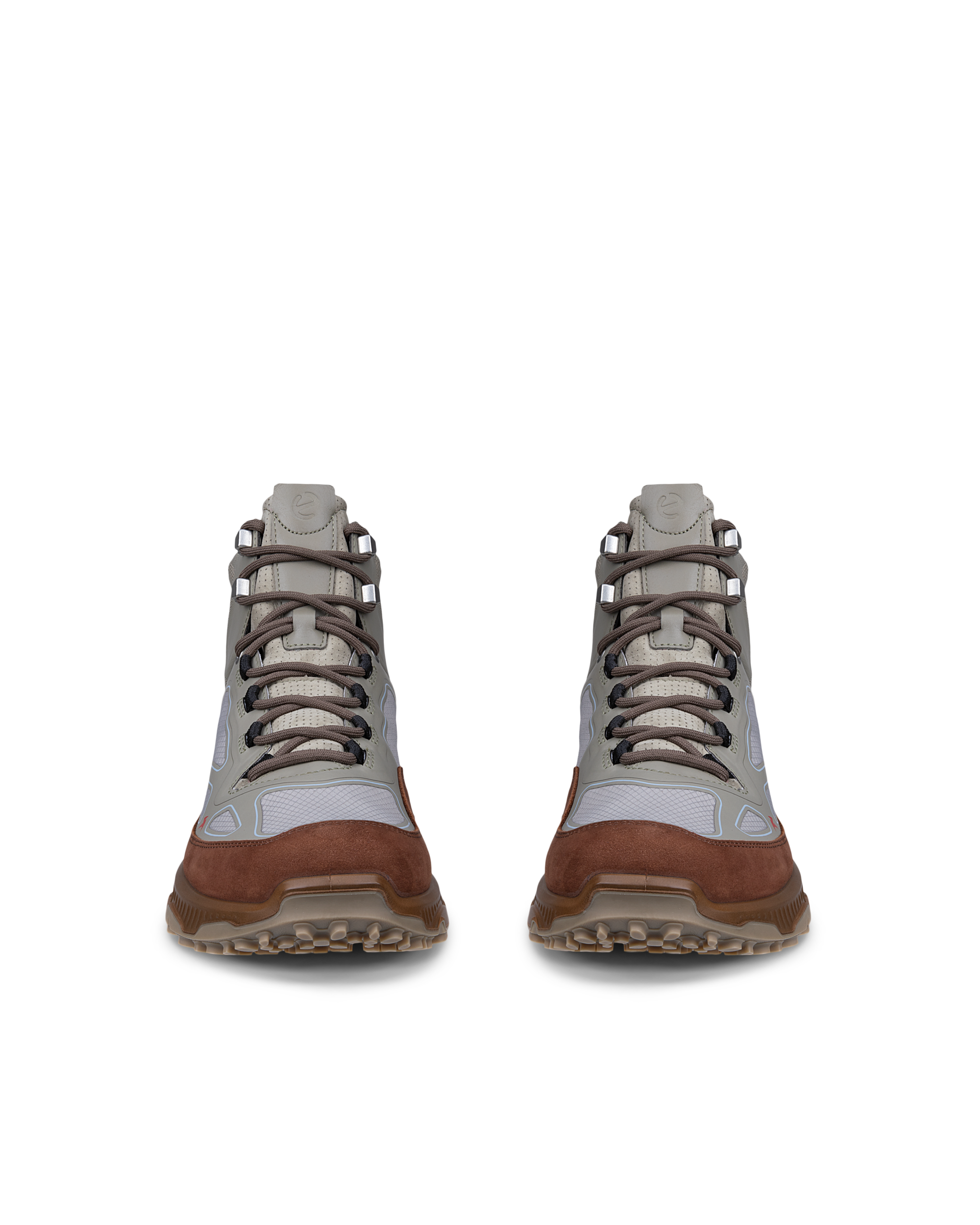 ECCO Receptor Xp — Green