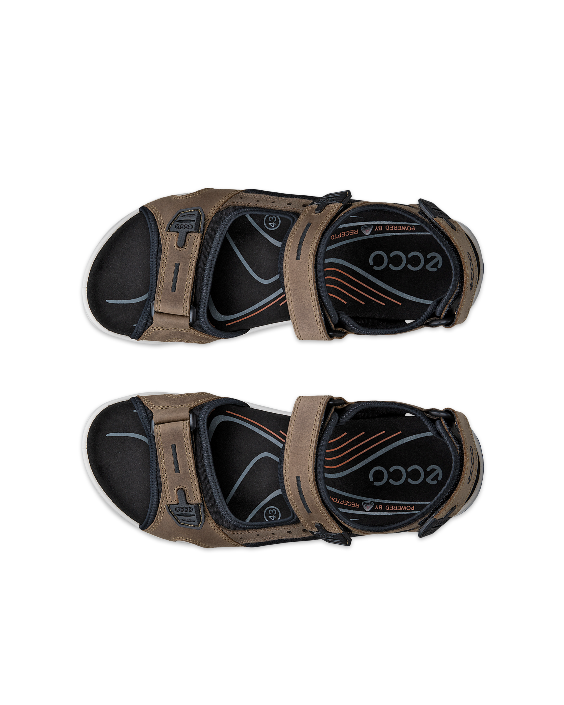 ECCO Offroad — Brown