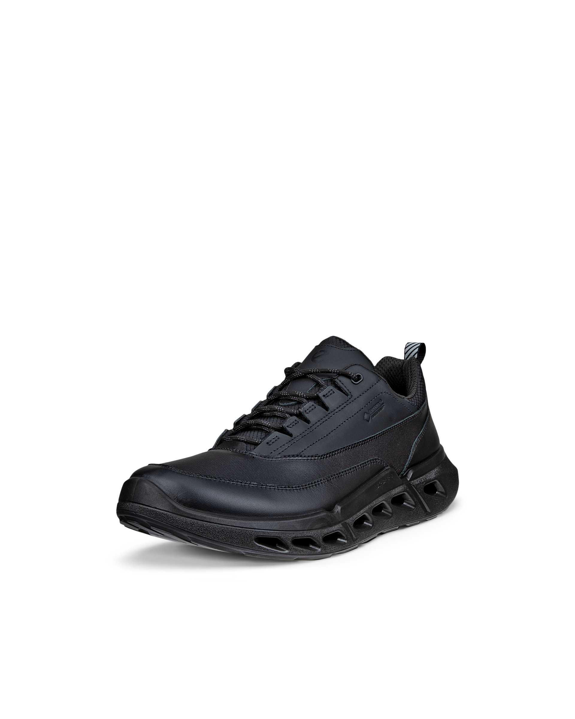 ECCO Biom 720 Gore-Tex — Black