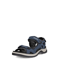 ECCO Offroad — Blue 2