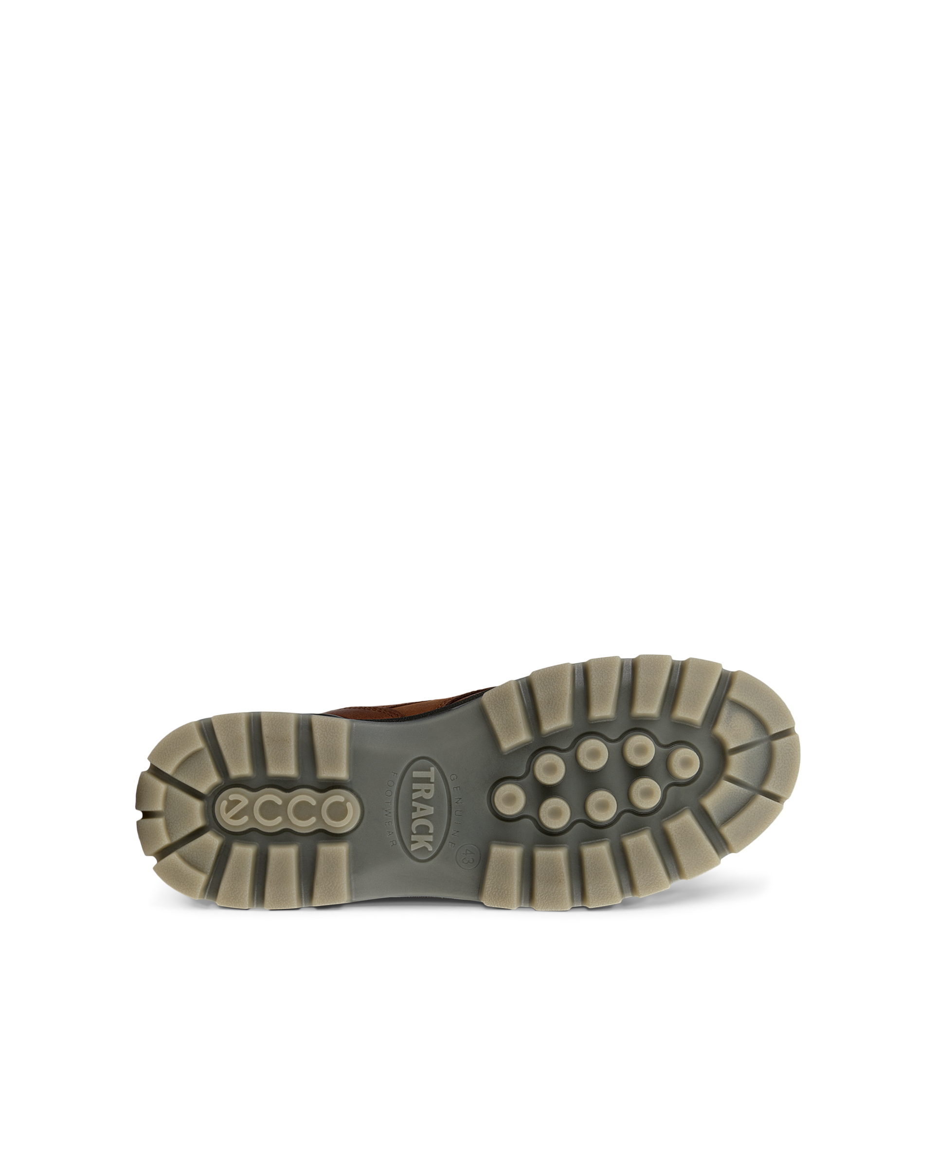 ECCO Track 25 — Brown