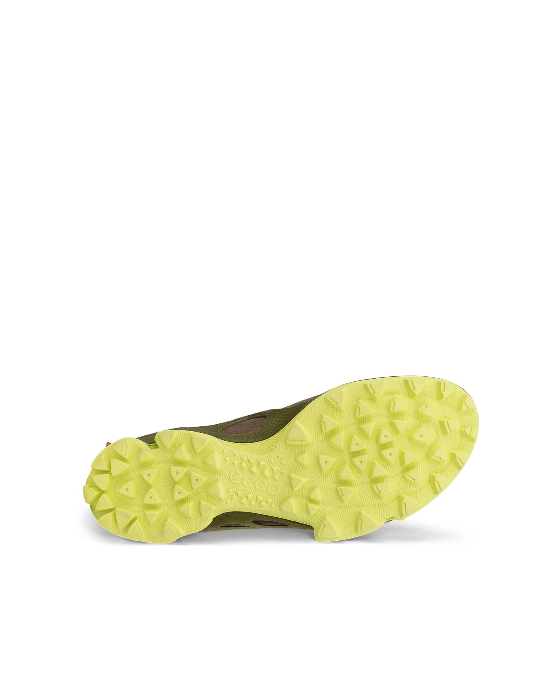 ECCO BIOM C-TRAIL — Brown