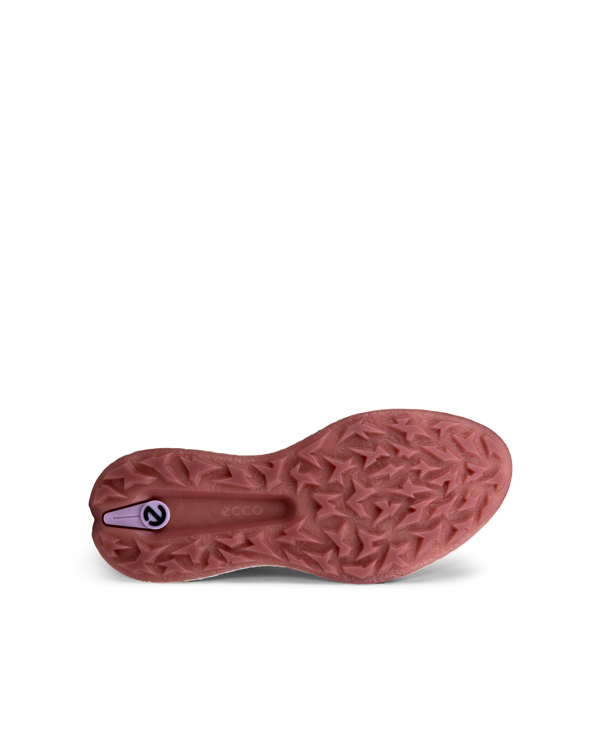 ECCO GOLF BIOM H5 LACE Women ウィメンズ レザーウォータープルーフ