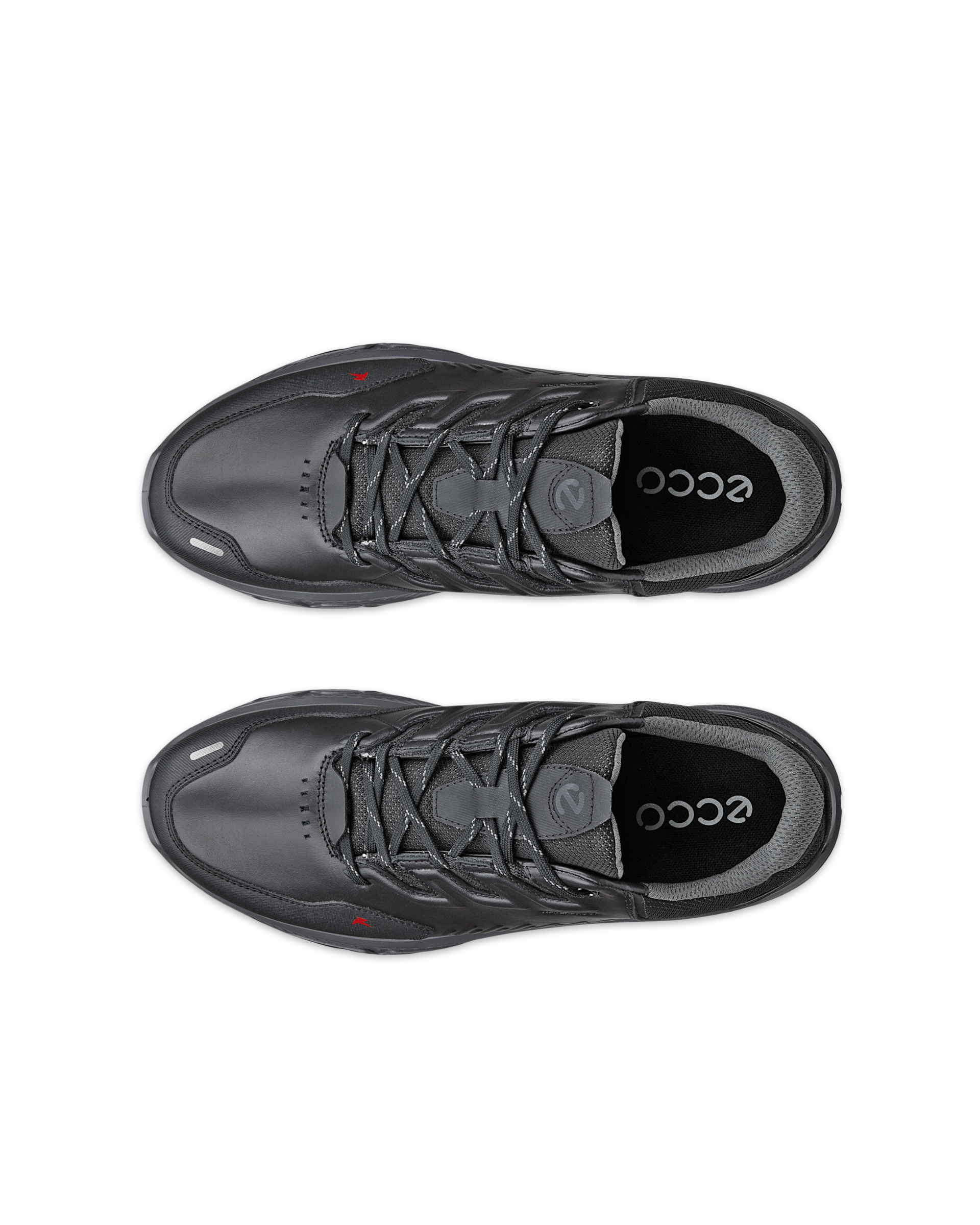 ECCO Receptor XP — Black