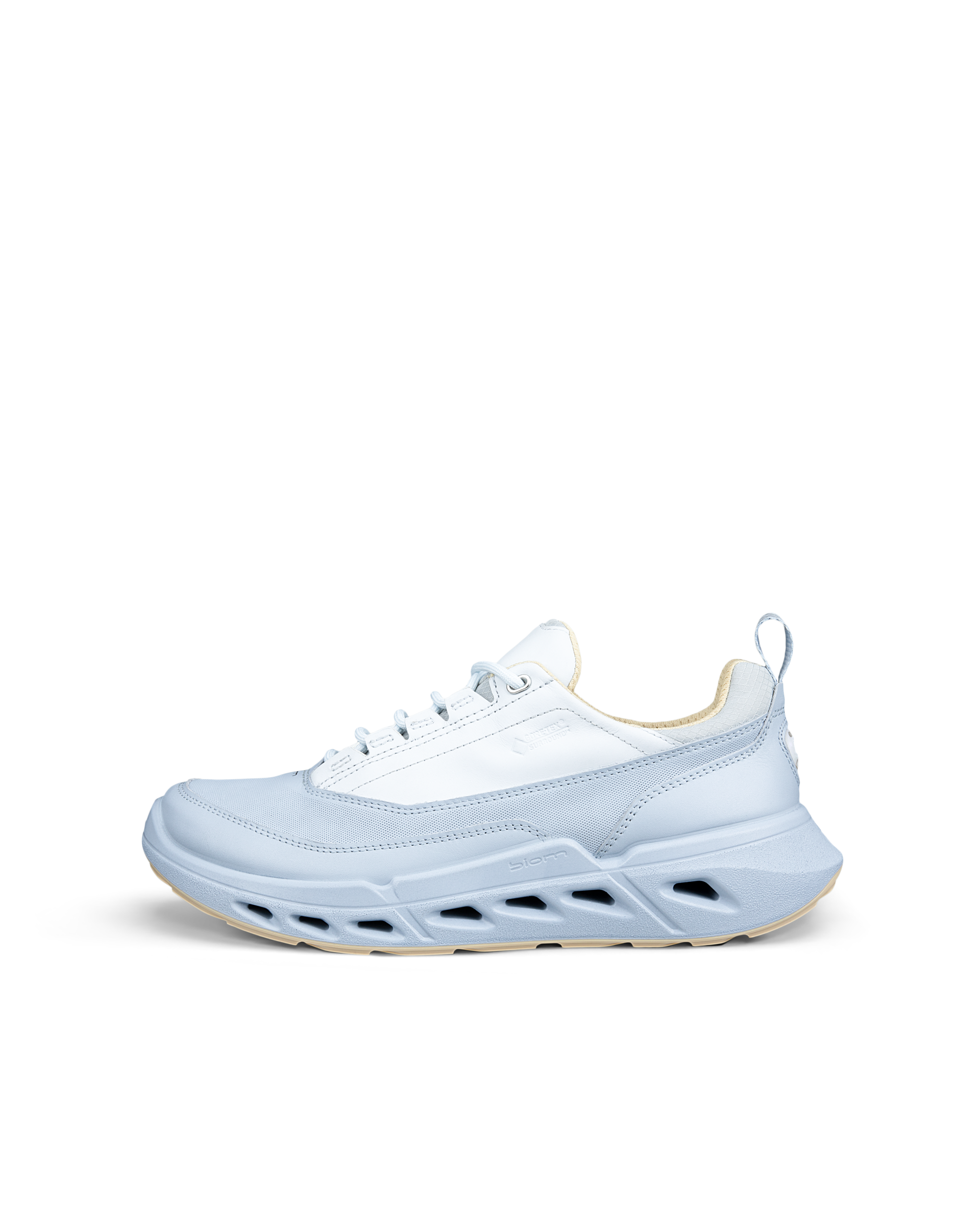 ECCO Biom 720 Gore-Tex — Blue