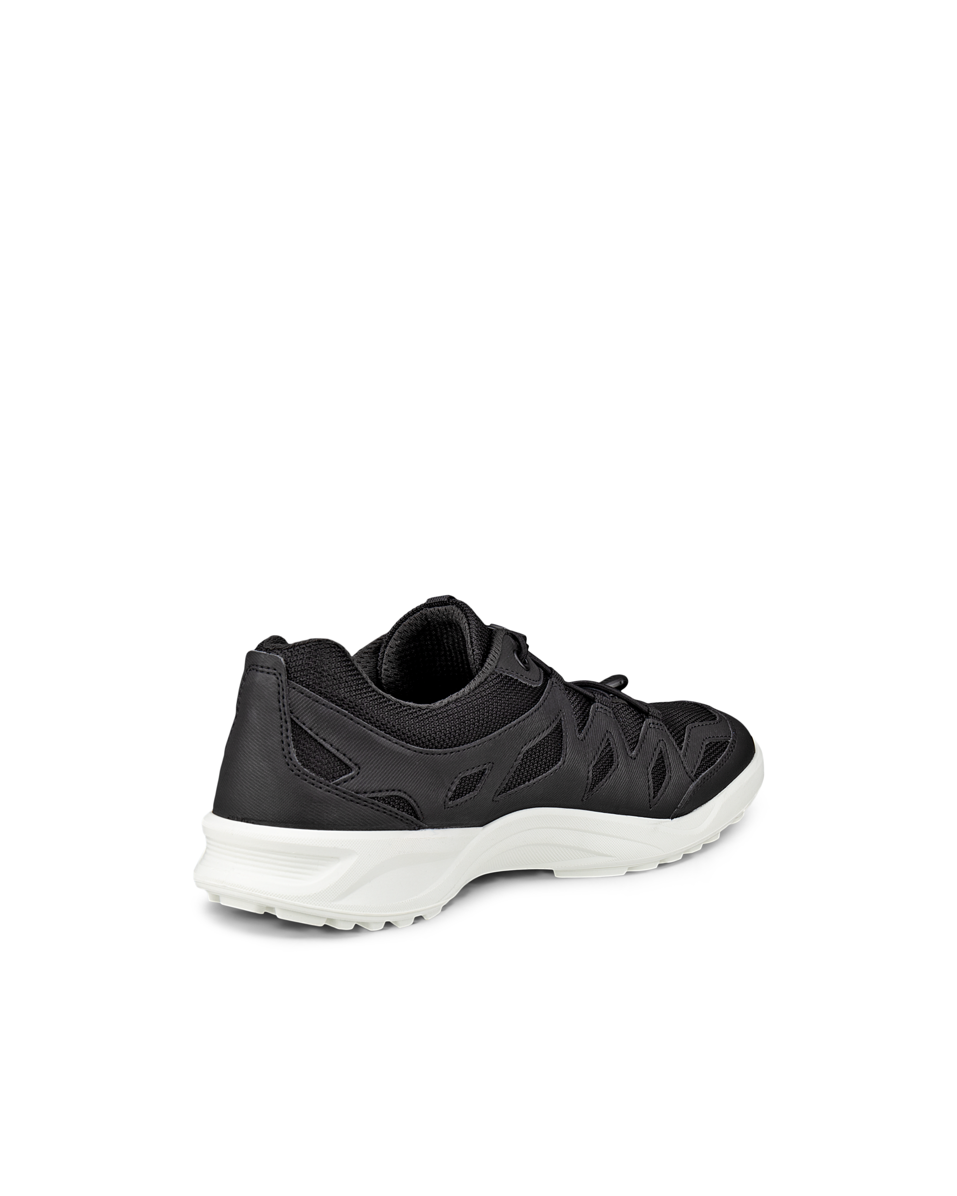 ECCO TERRACRUISE LT — Black