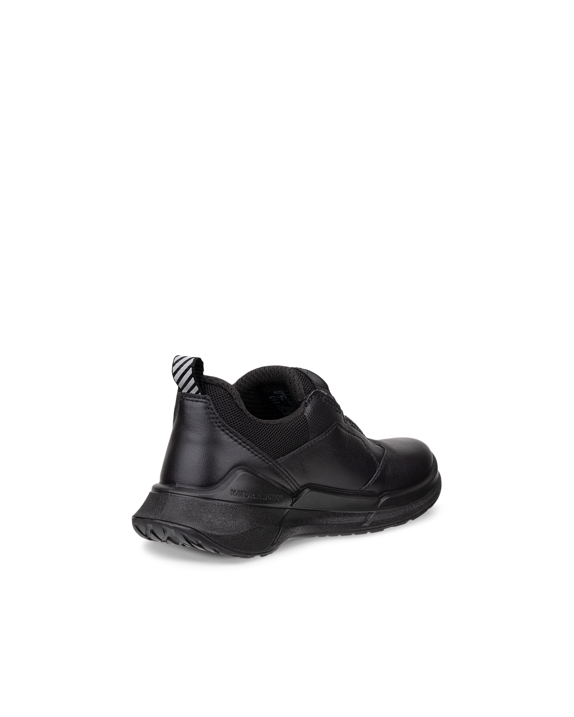 ECCO BIOM 2.2 — Black