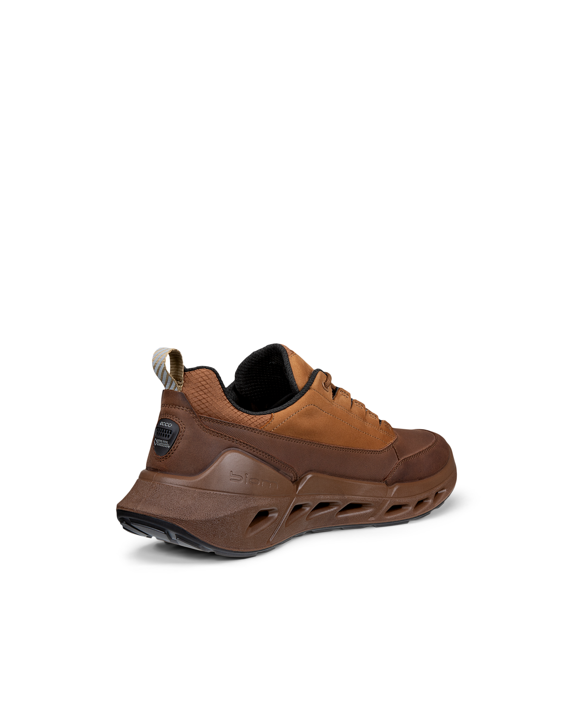 ECCO Biom 720 Gore-Tex — Brown
