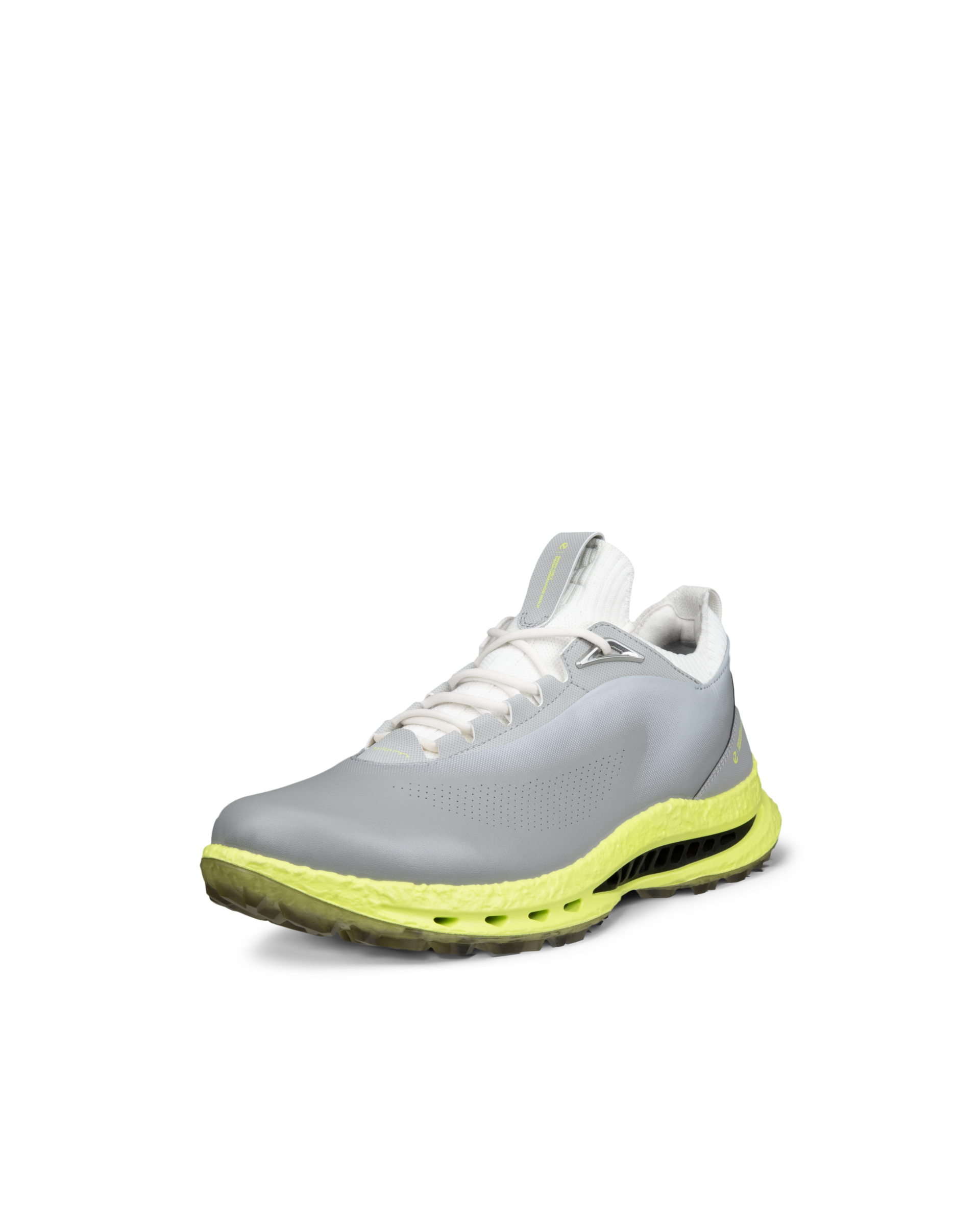 Men's ECCO® Golf Biom C5 Leather Gore-Tex Golf Shoe | Gray