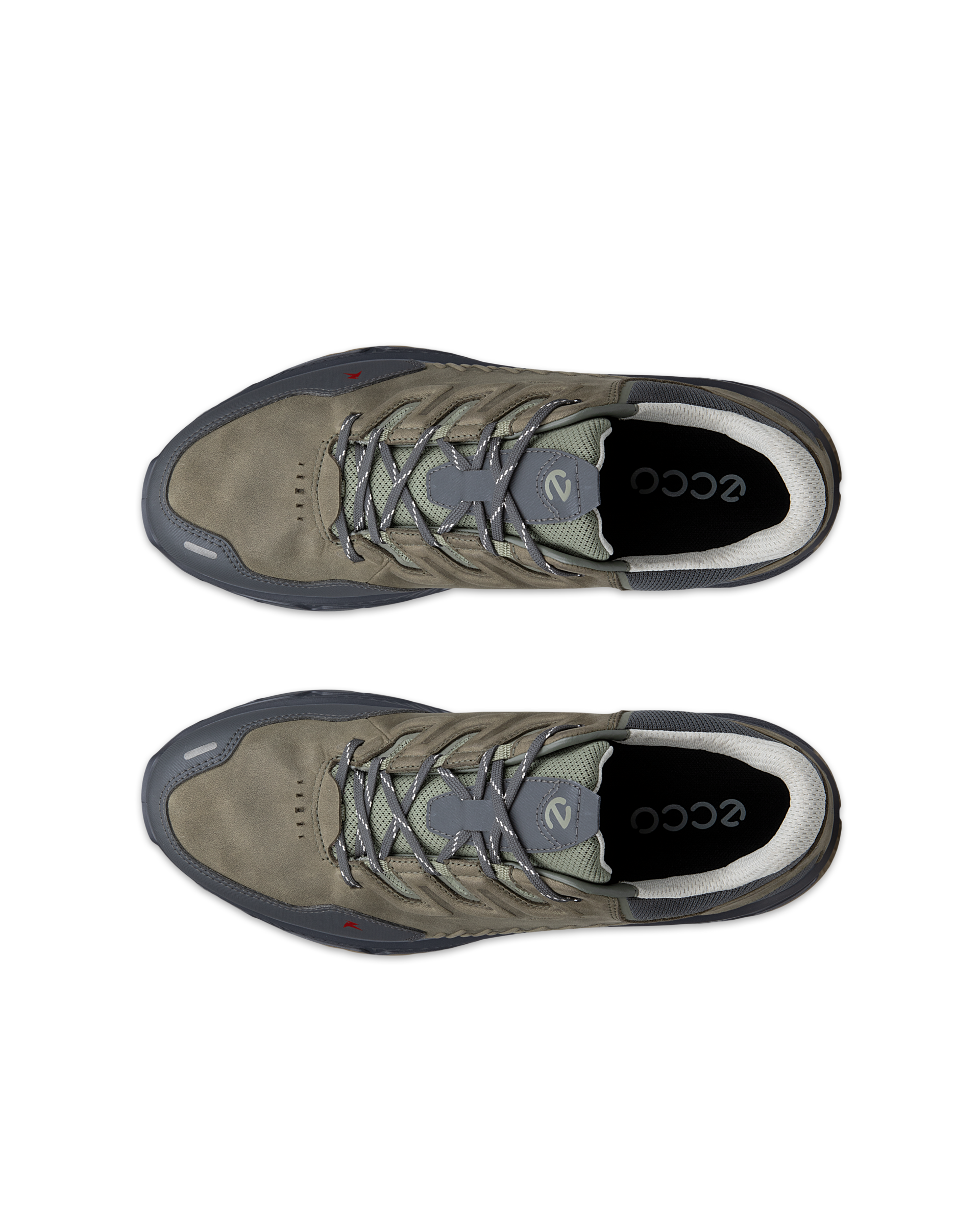 ECCO Receptor XP — Green