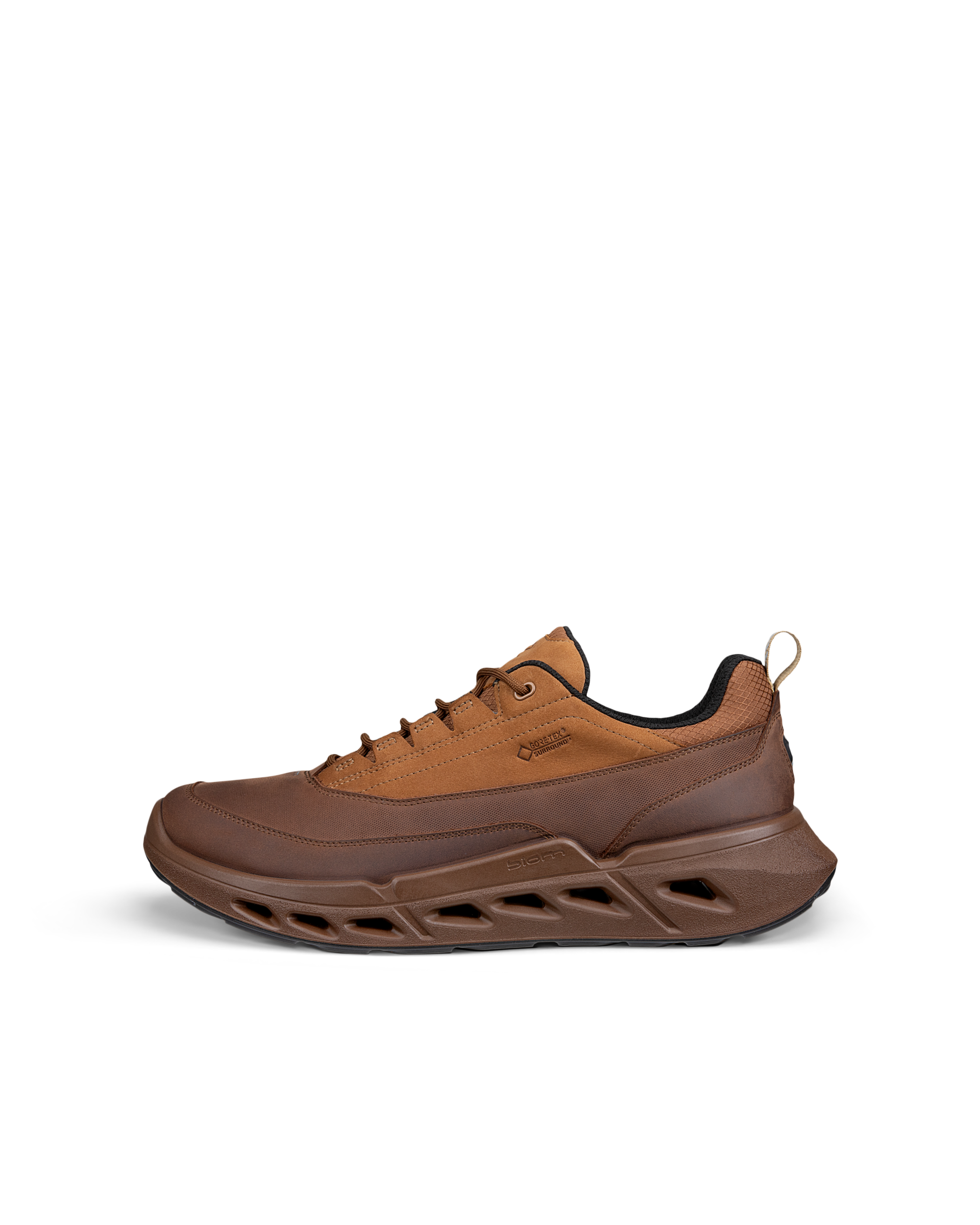 ECCO Biom 720 Gore-Tex — Brown