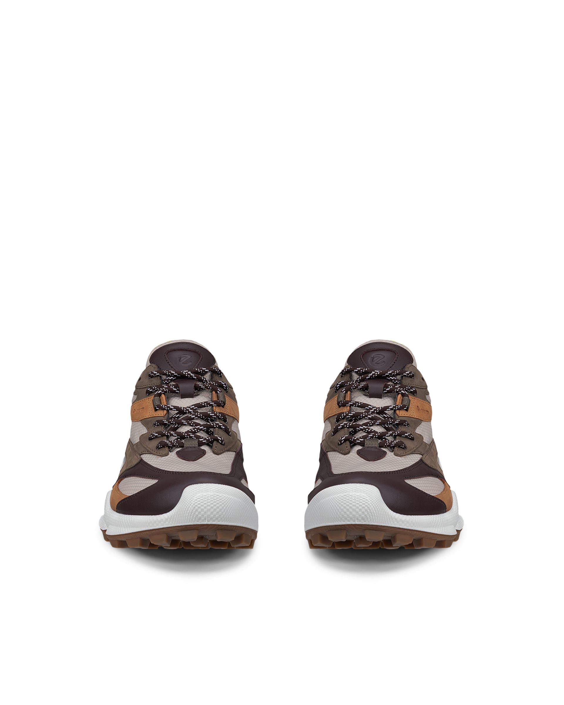 Men's ECCO® Biom C-Trail Gore-Tex Leather Shoe