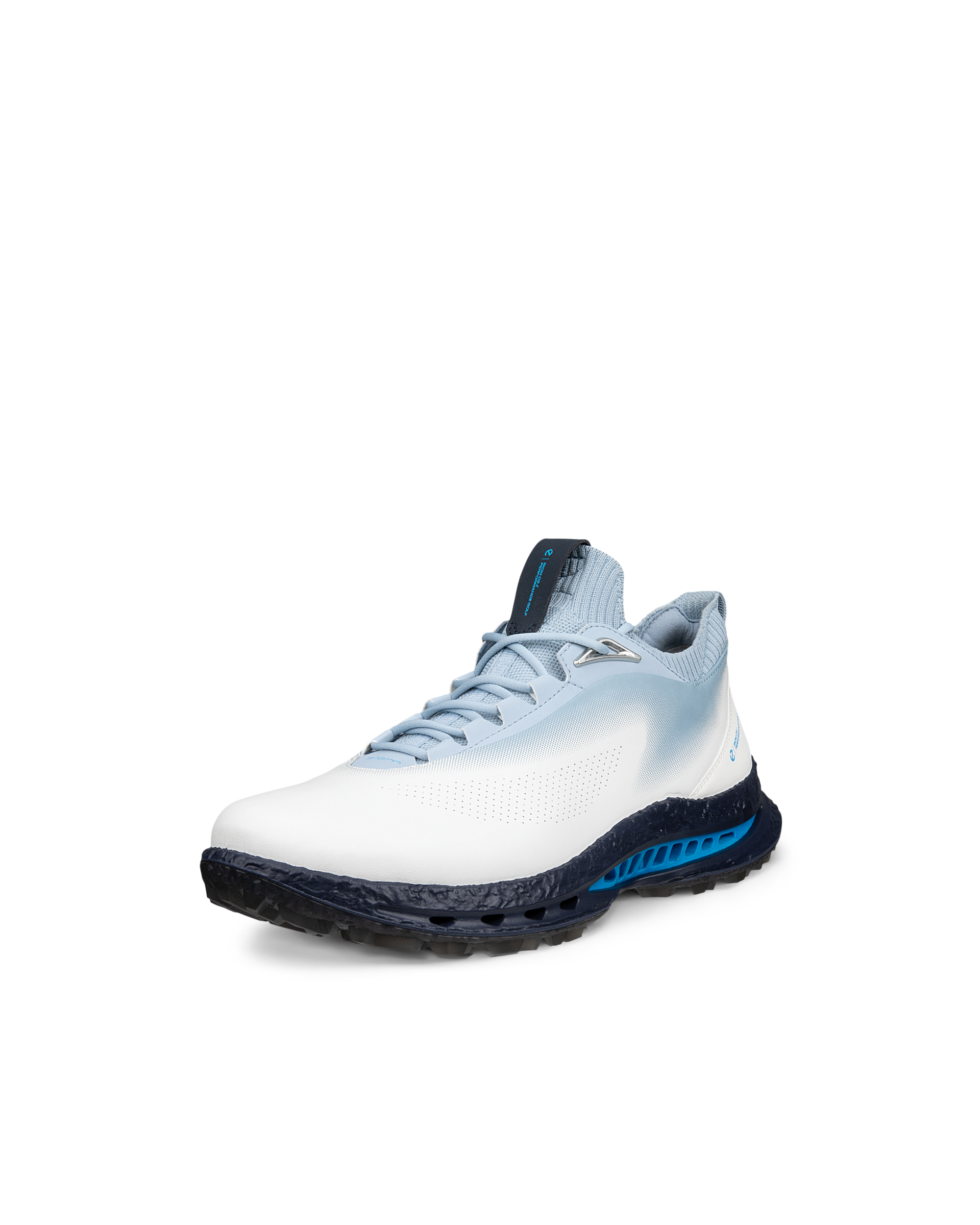 ニテ様　御依頼分 ECCO GOLF BIOM C5 MEN メンズ レザーGore-Texゴルフシューズ | ホワイト