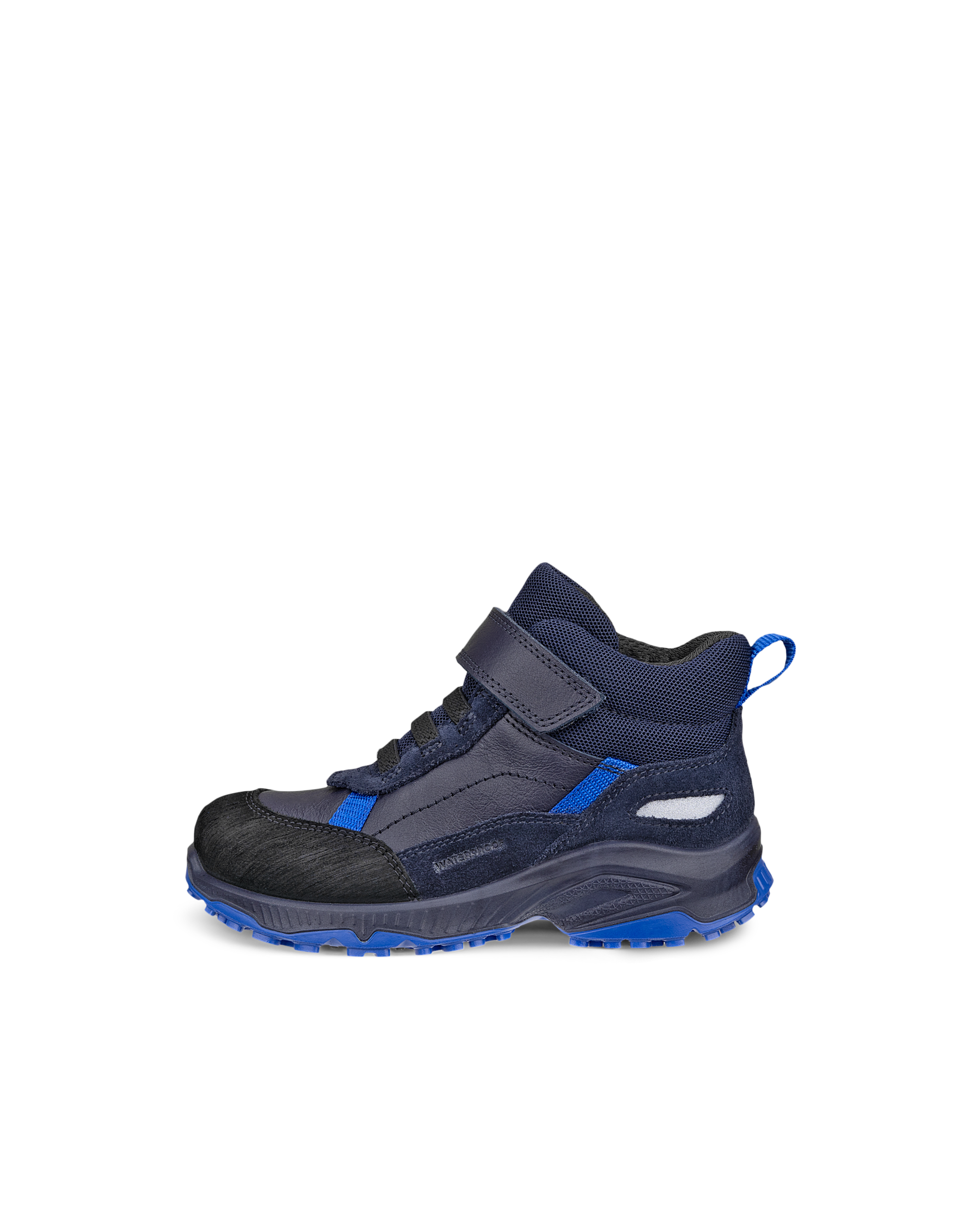 ECCO RECEPTOR XP — Blue