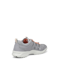 ECCO TERRACRUISE LT — Grey 3