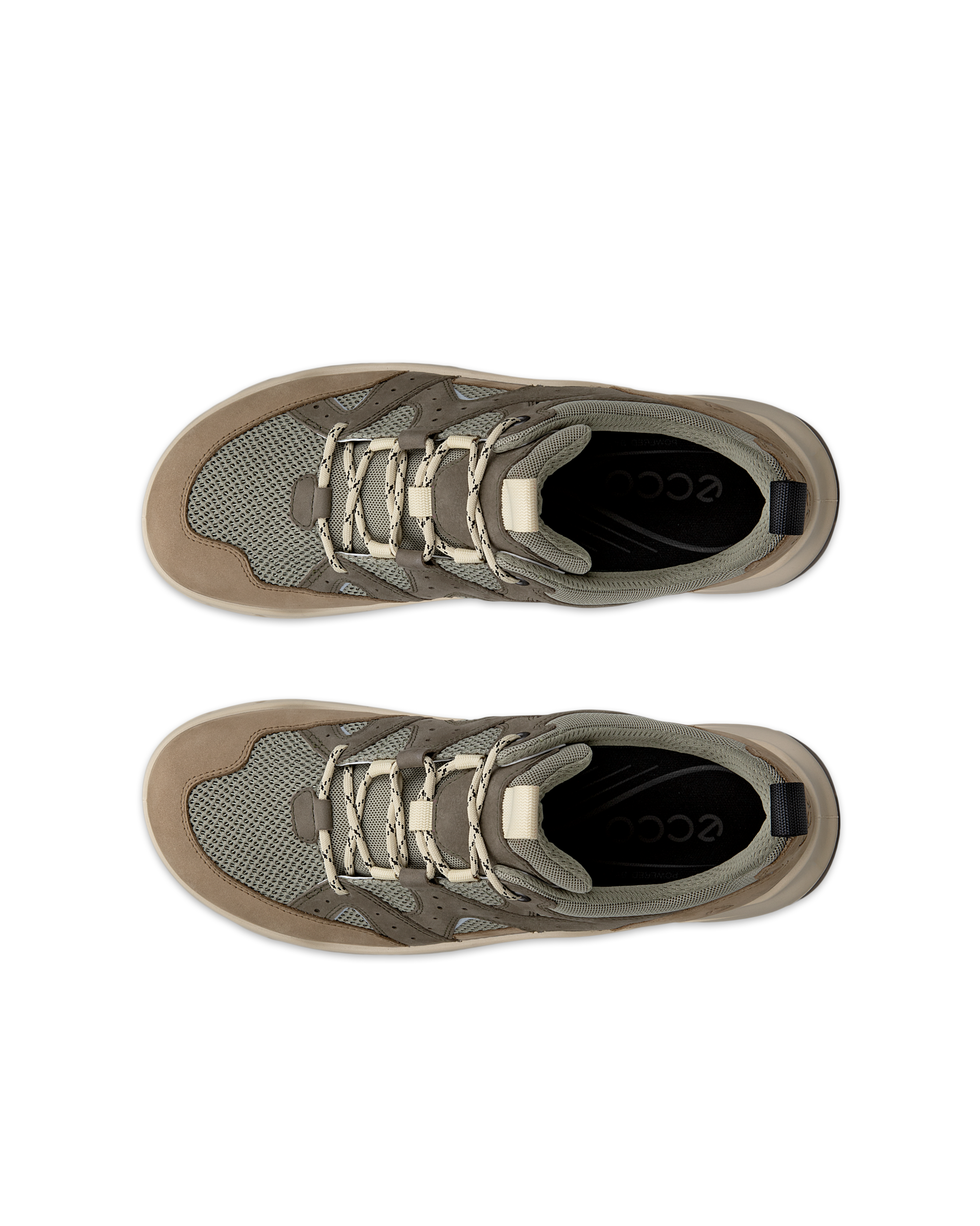 ECCO OFFROAD Men メンズ スニーカー | グリーン