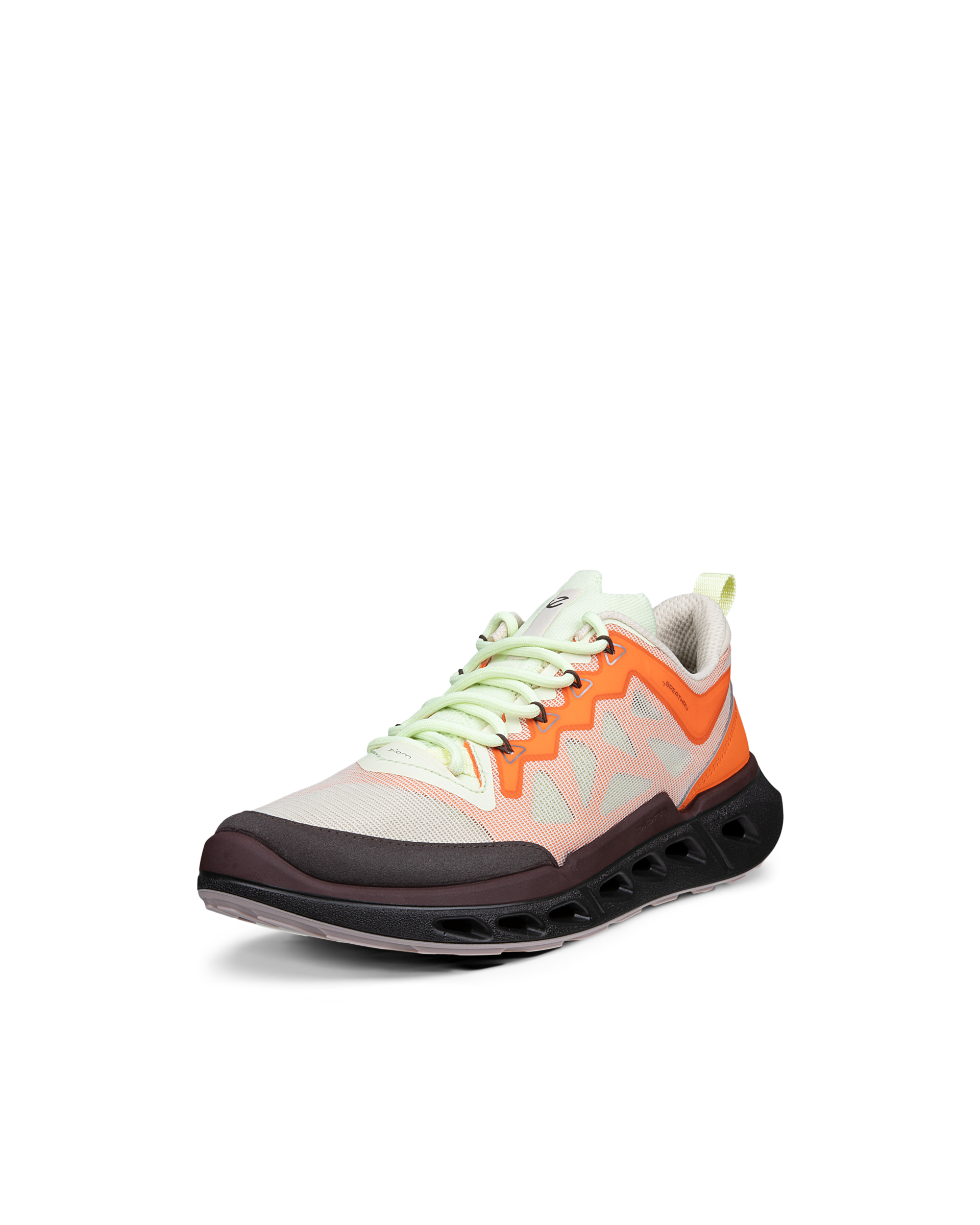 ECCO Biom 720 Breathru — Multicolor
