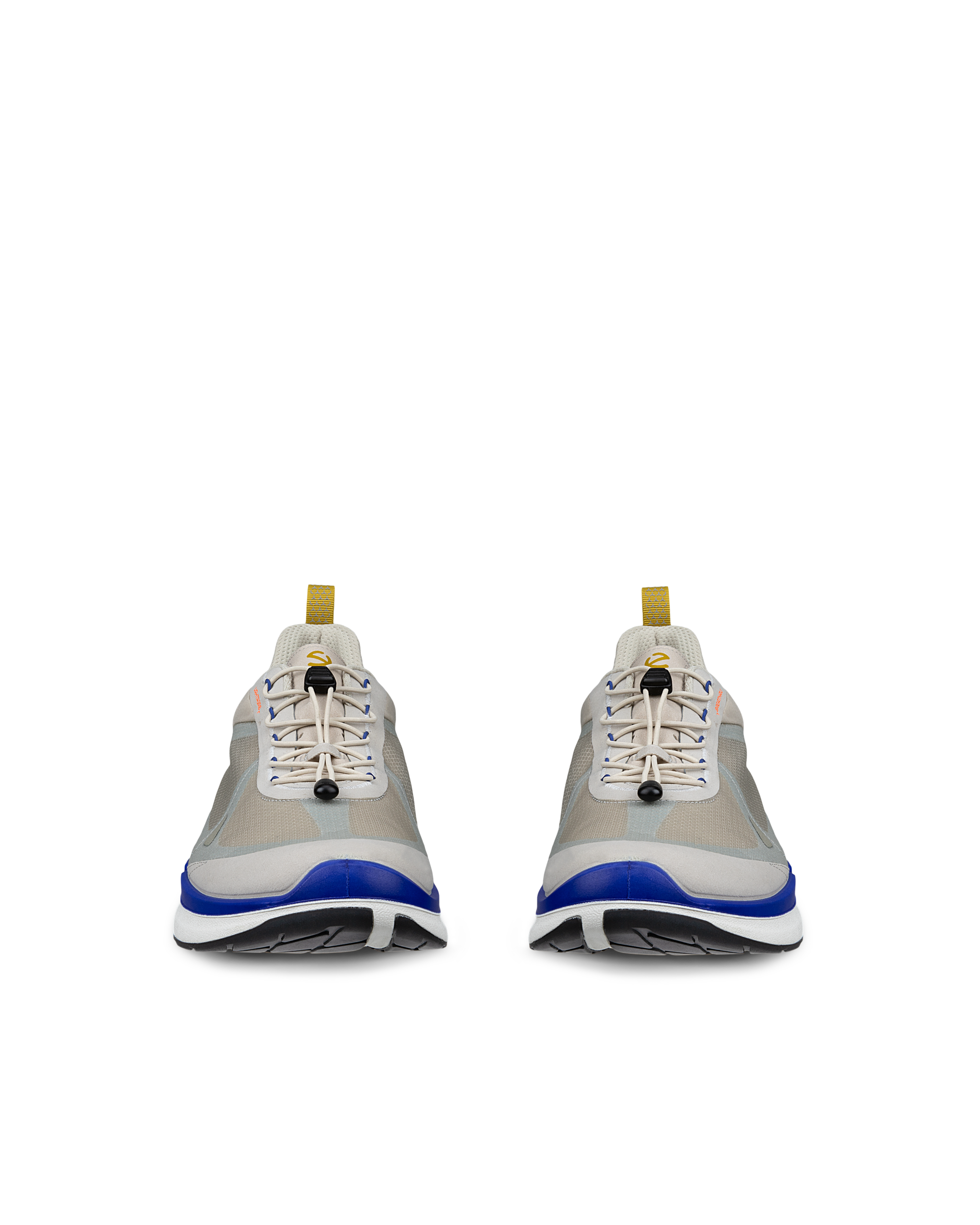 ECCO BIOM 2.2 — Grey