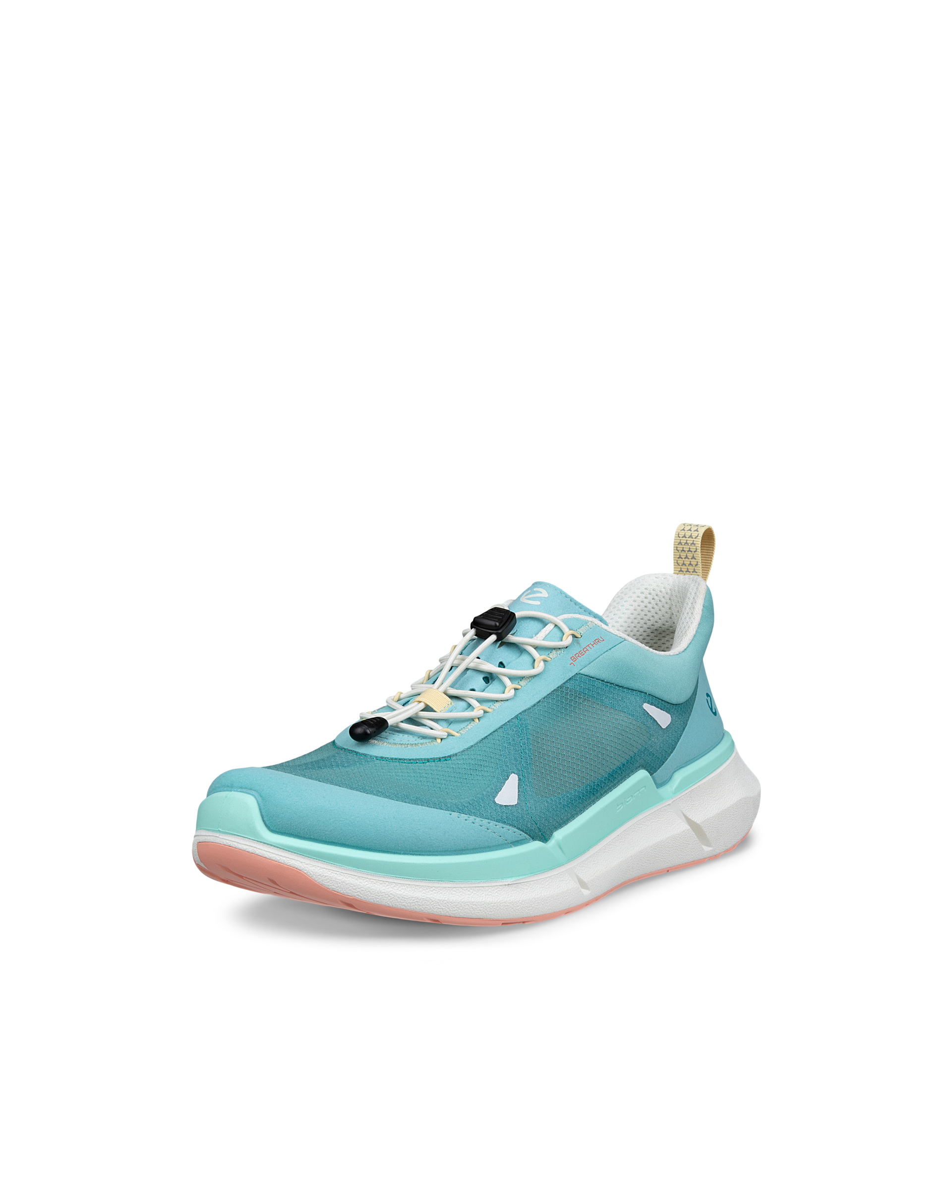 ECCO BIOM 2.2 — Blue