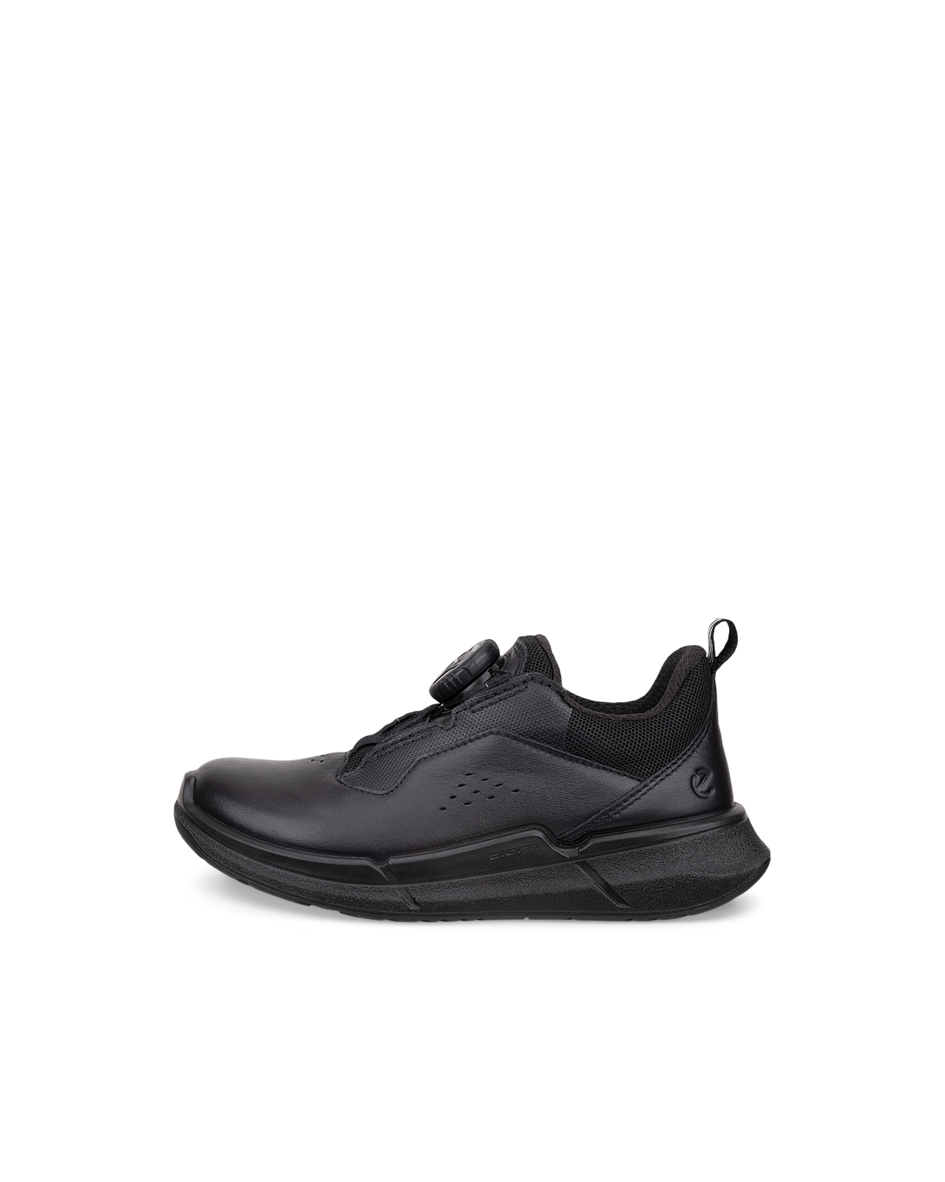 ECCO BIOM 2.2 — Black