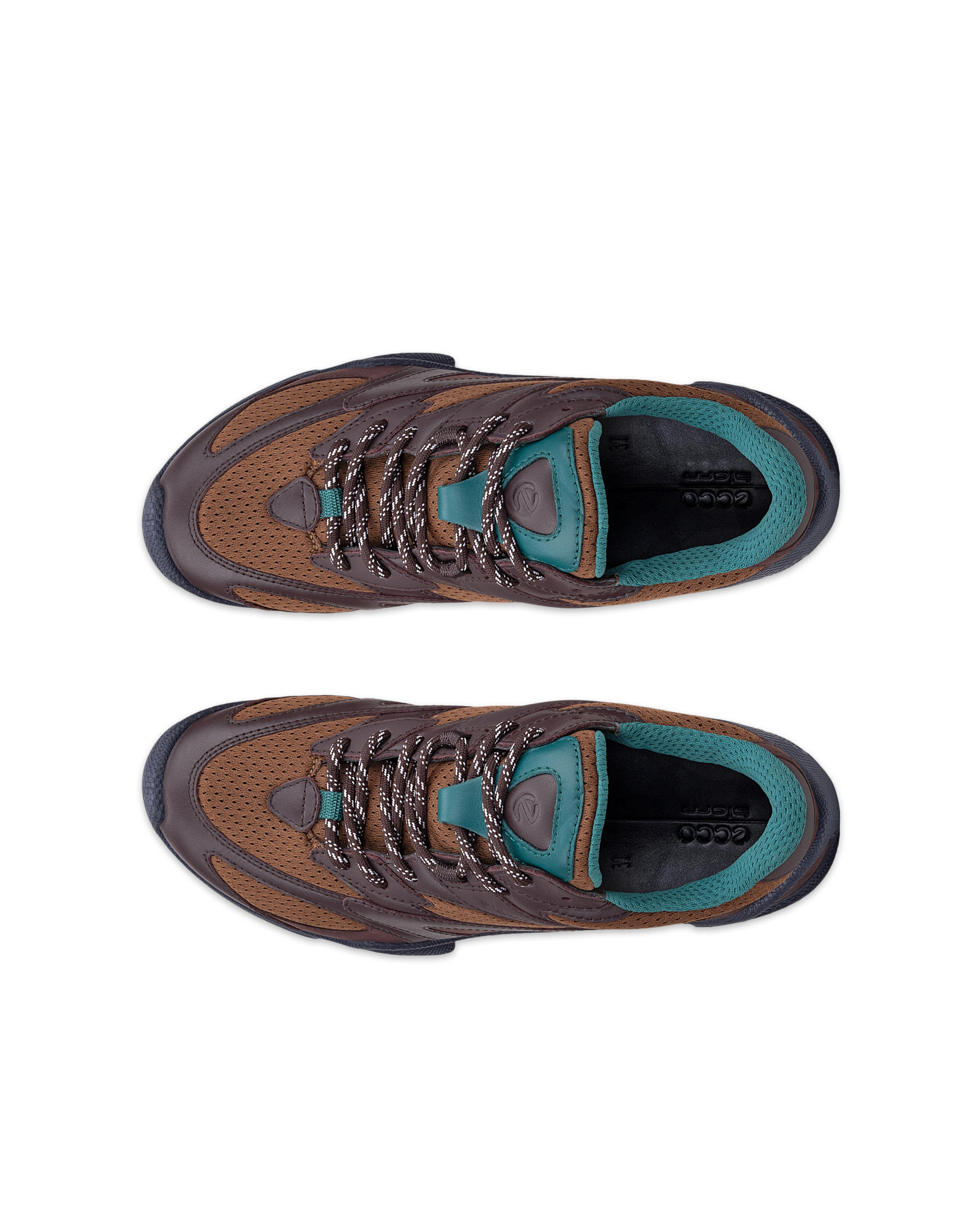 ECCO BIOM C-TRAIL — Brown