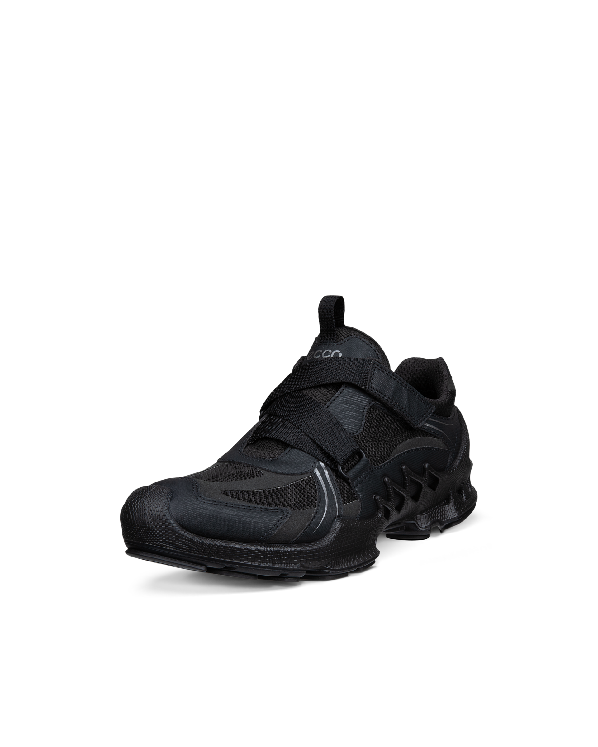 ECCO BIOM AEX — Black