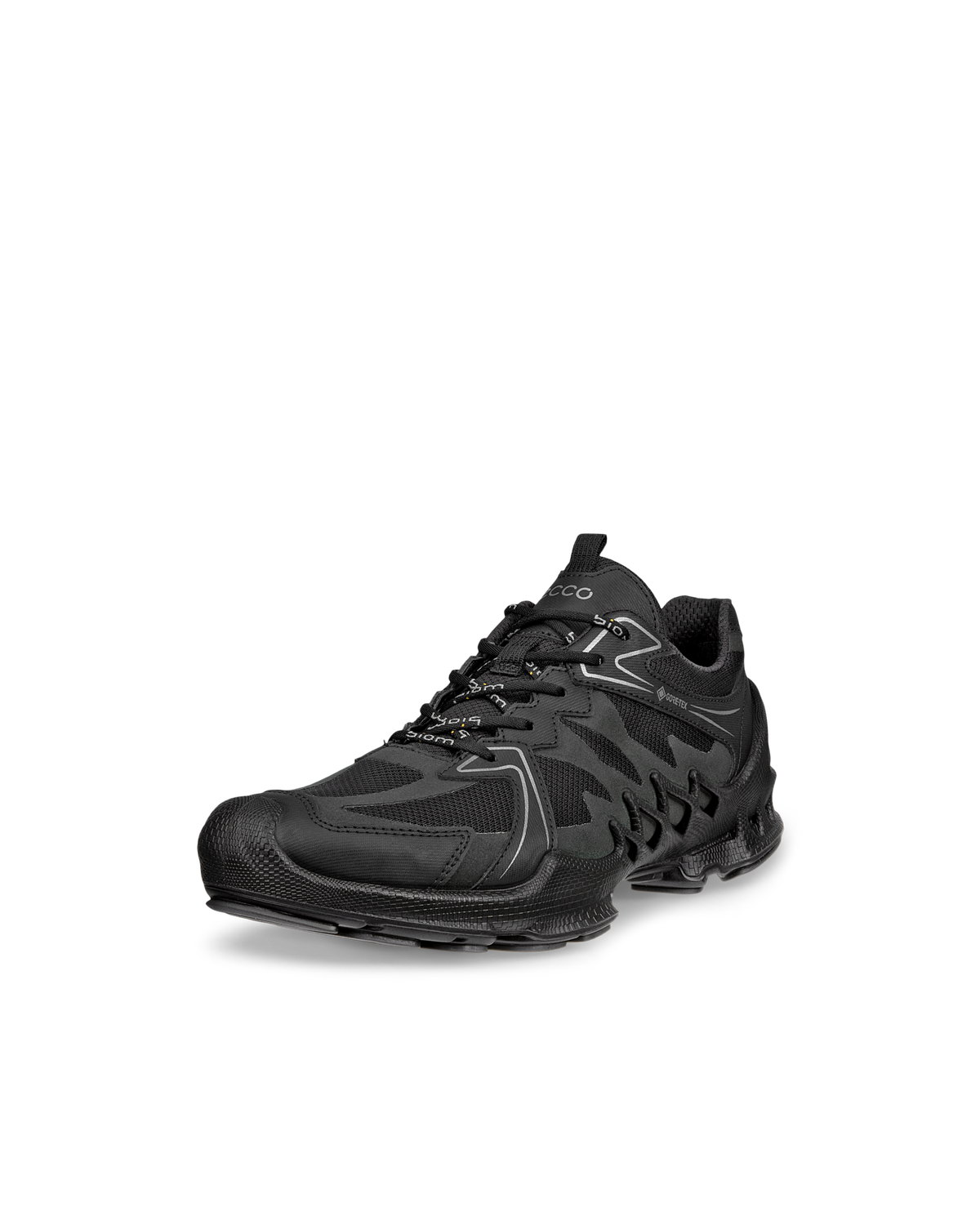 ECCO Biom Aex — Black