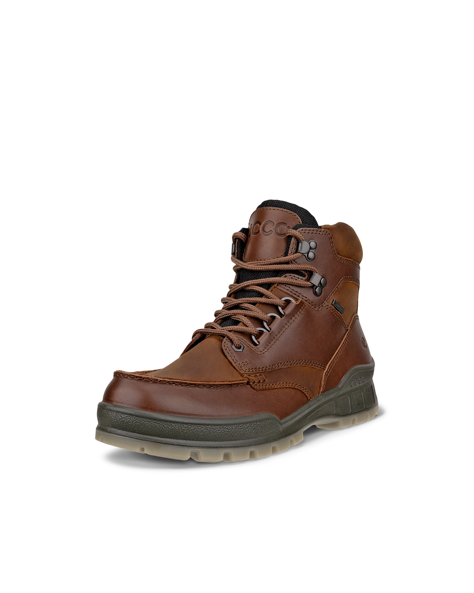 ECCO Track 25 — Brown