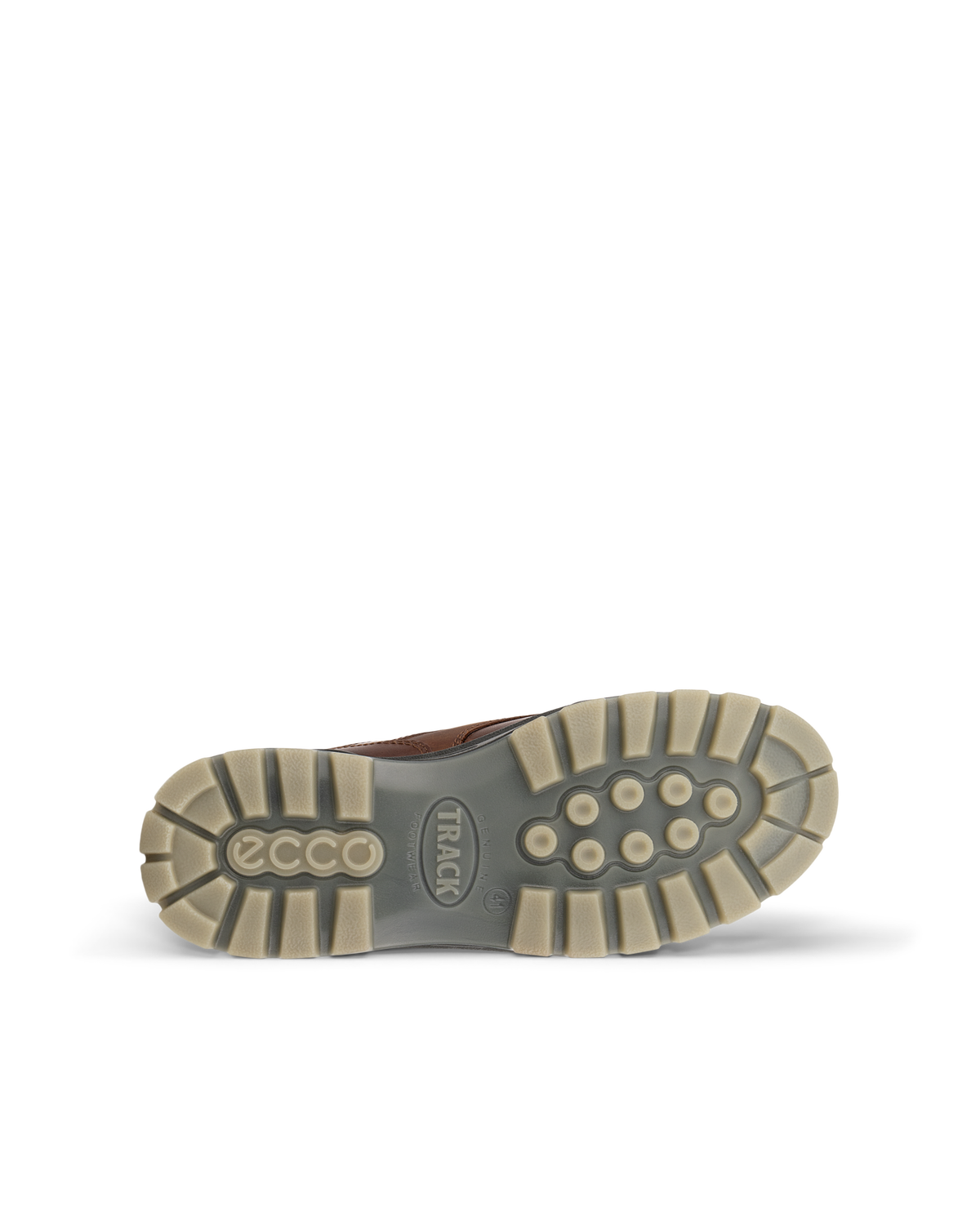 ECCO Track 25 — Brown