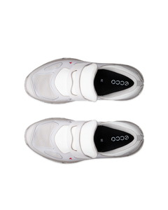 ECCO Receptor Xp — Gray 5