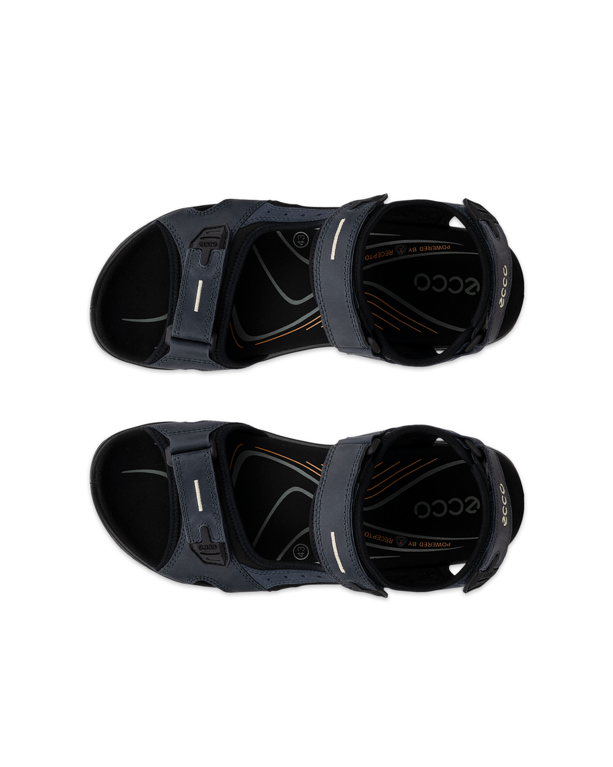 ECCO Offroad — Blue