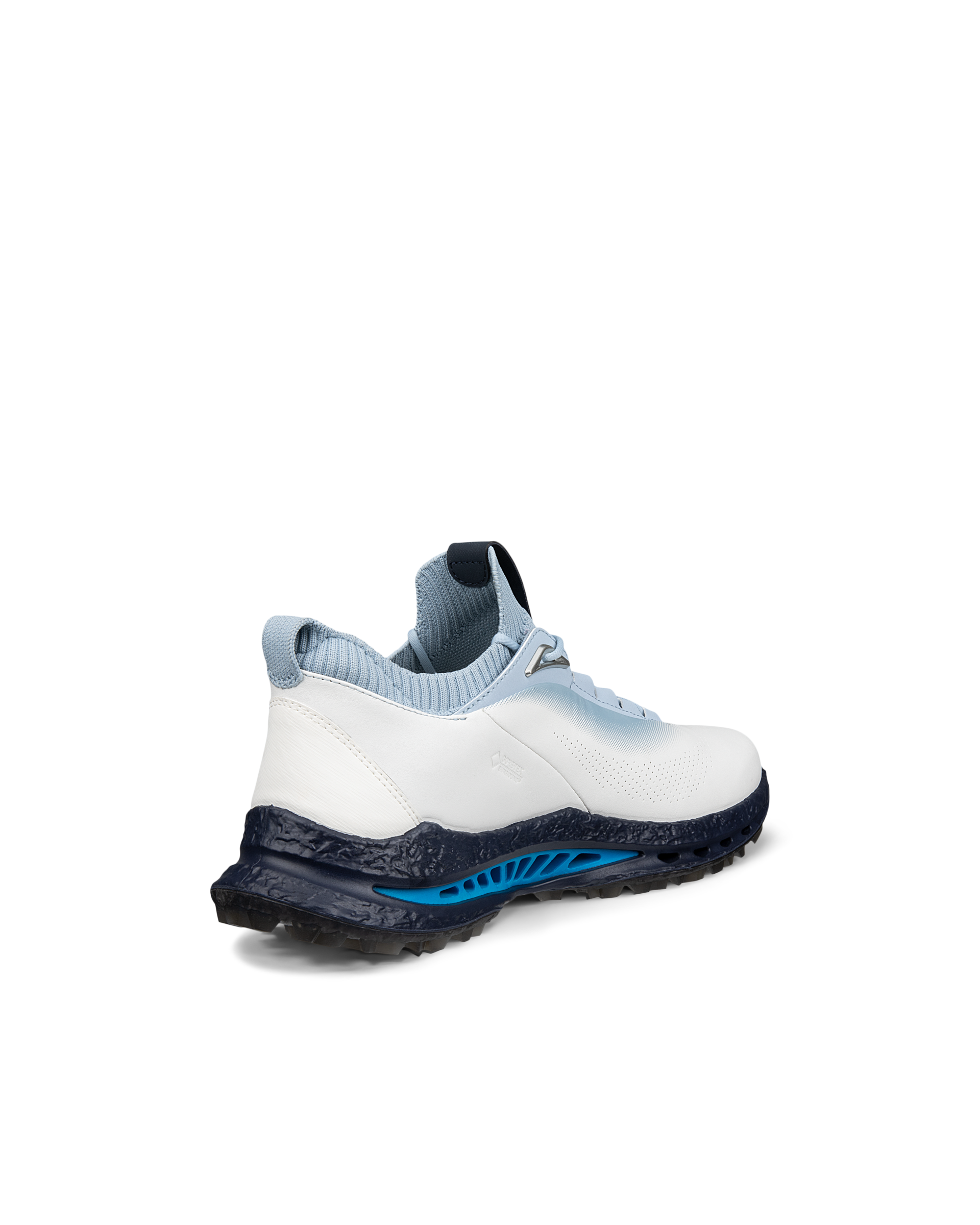 ECCO BIOM C5 MEN'S GOLF SHOE | White