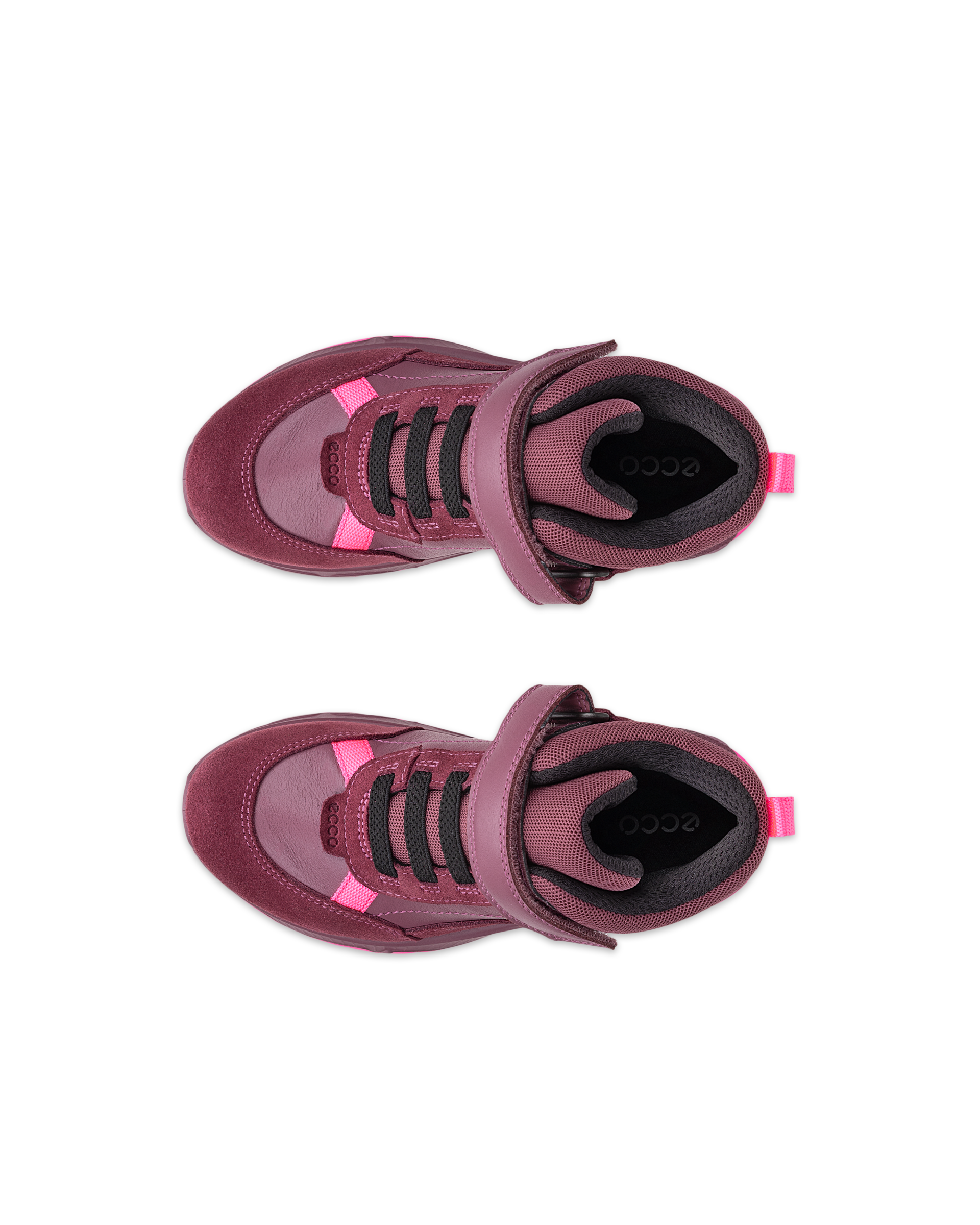 ECCO RECEPTOR XP — Pink