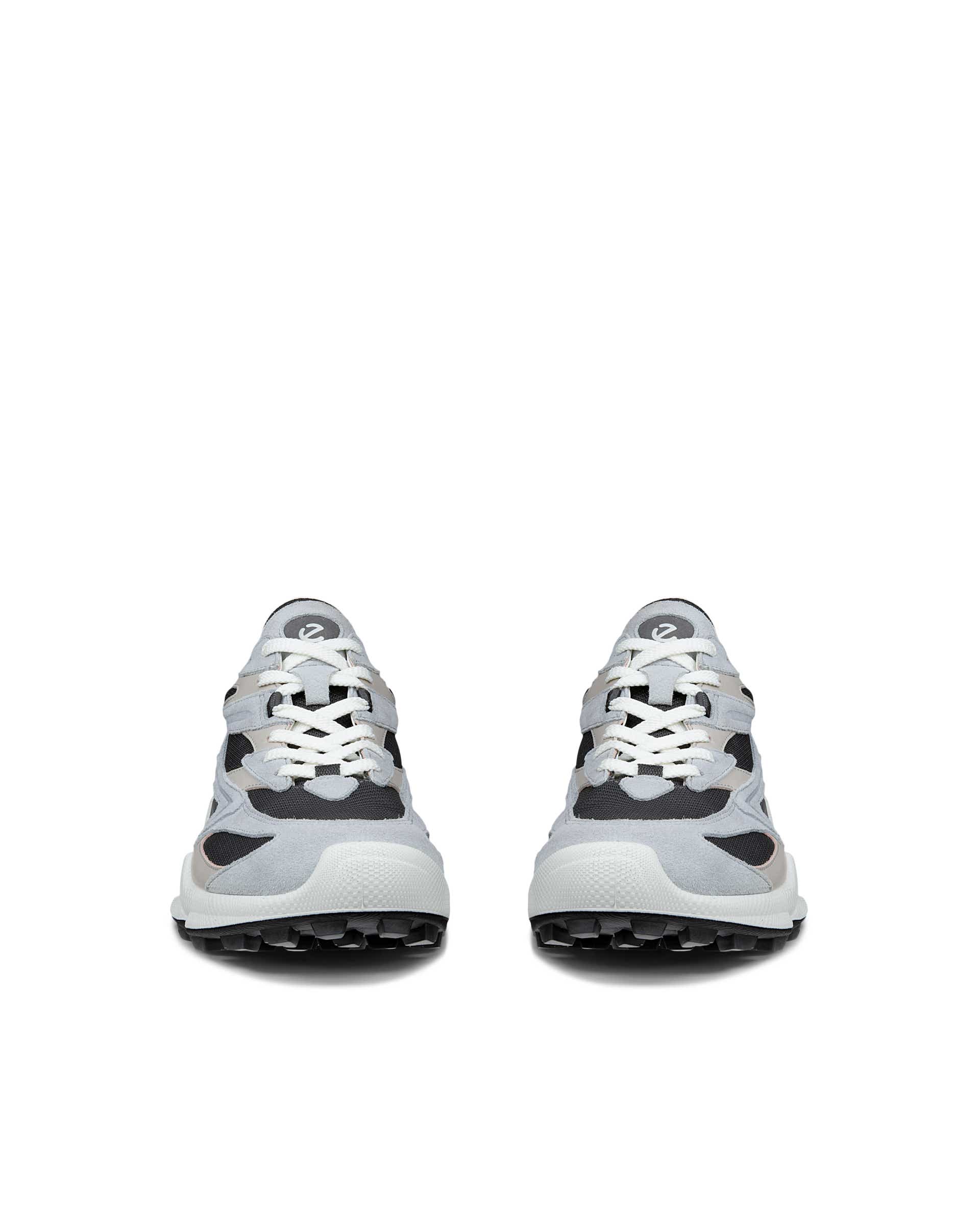 ECCO BIOM C-TRAIL Men メンズ レザースニーカー | グレー