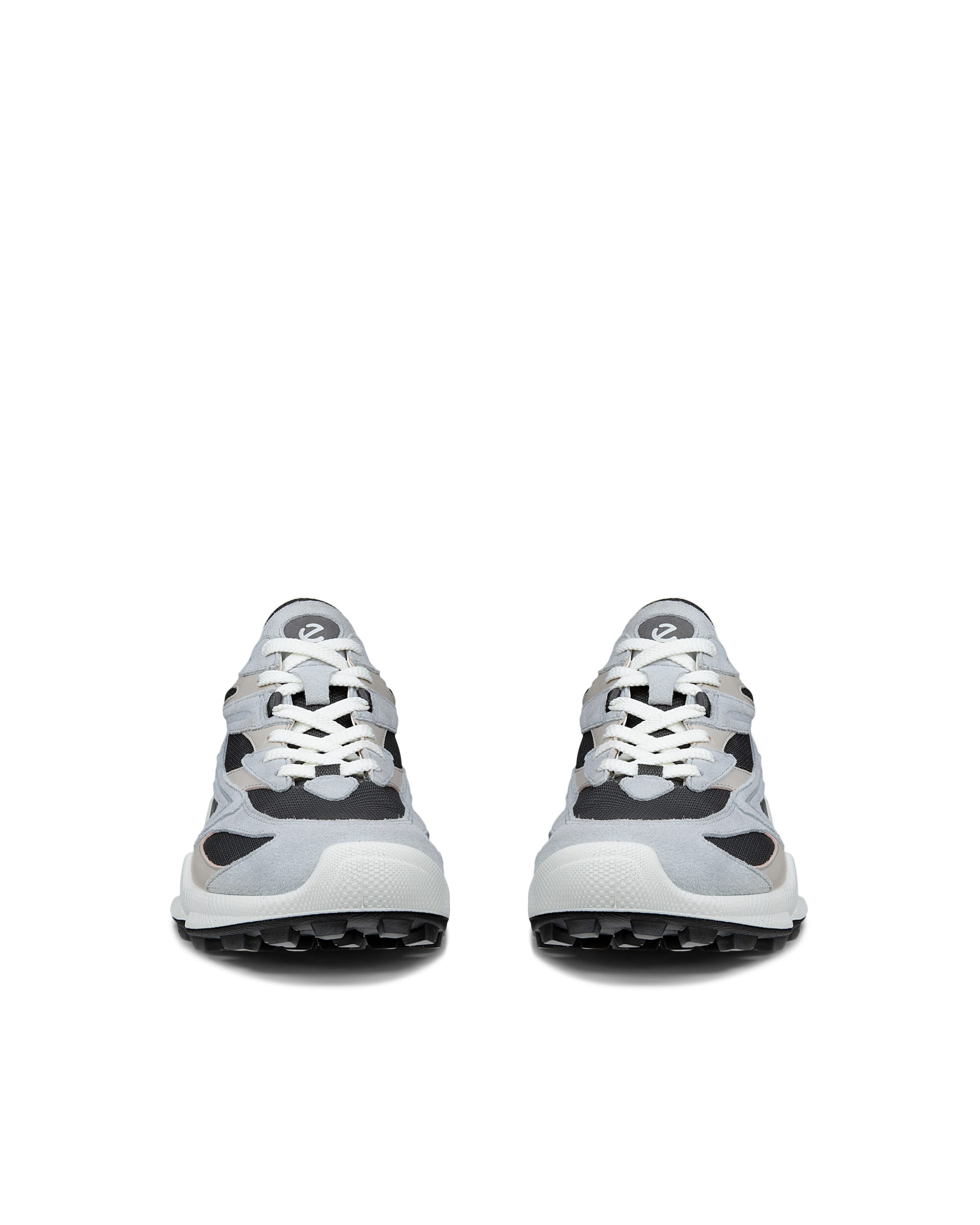 Reeeページ ECCO BIOM C-TRAIL Men メンズ レザースニーカー | グレー