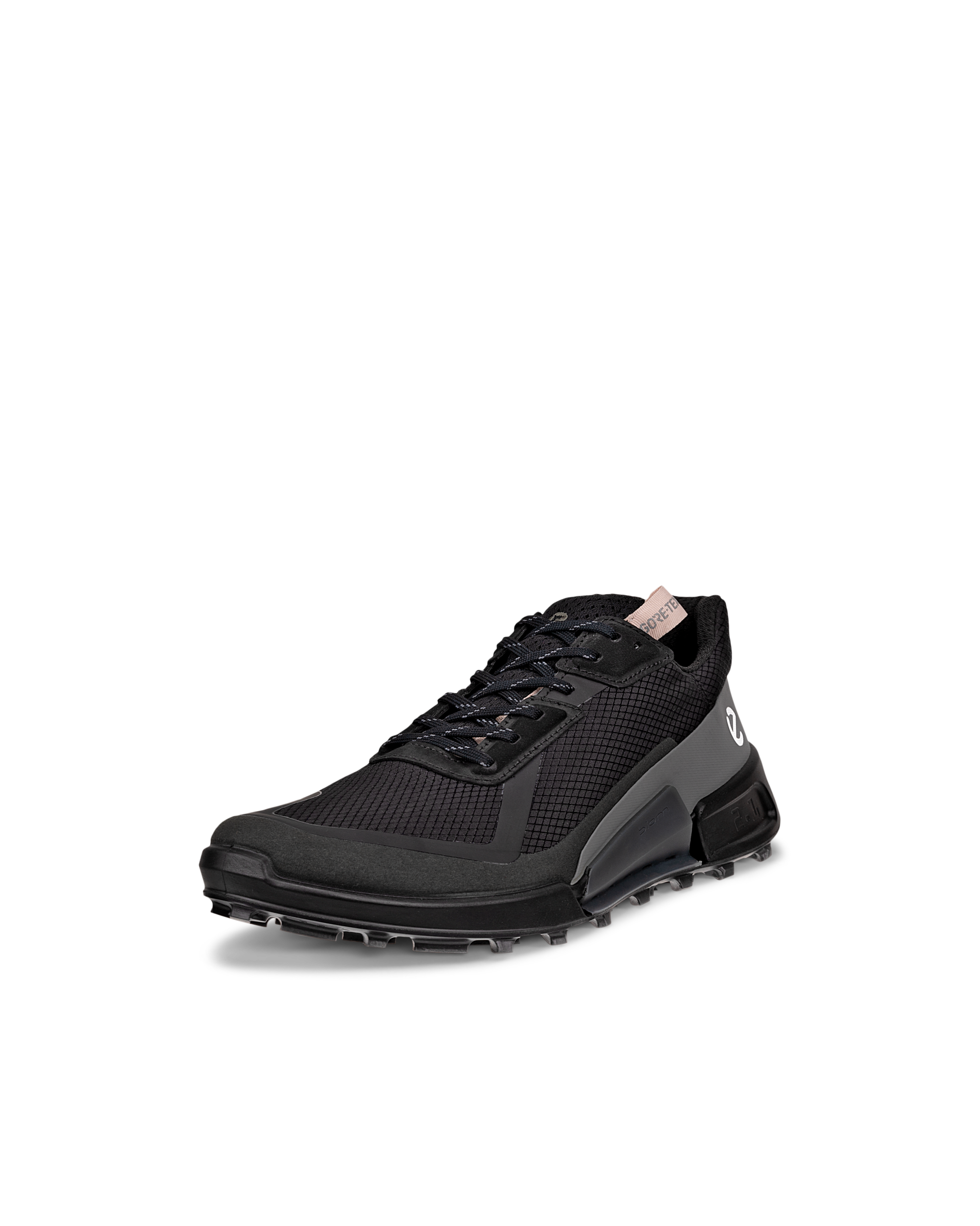 ECCO BIOM 2.1 X COUNTRY — Black