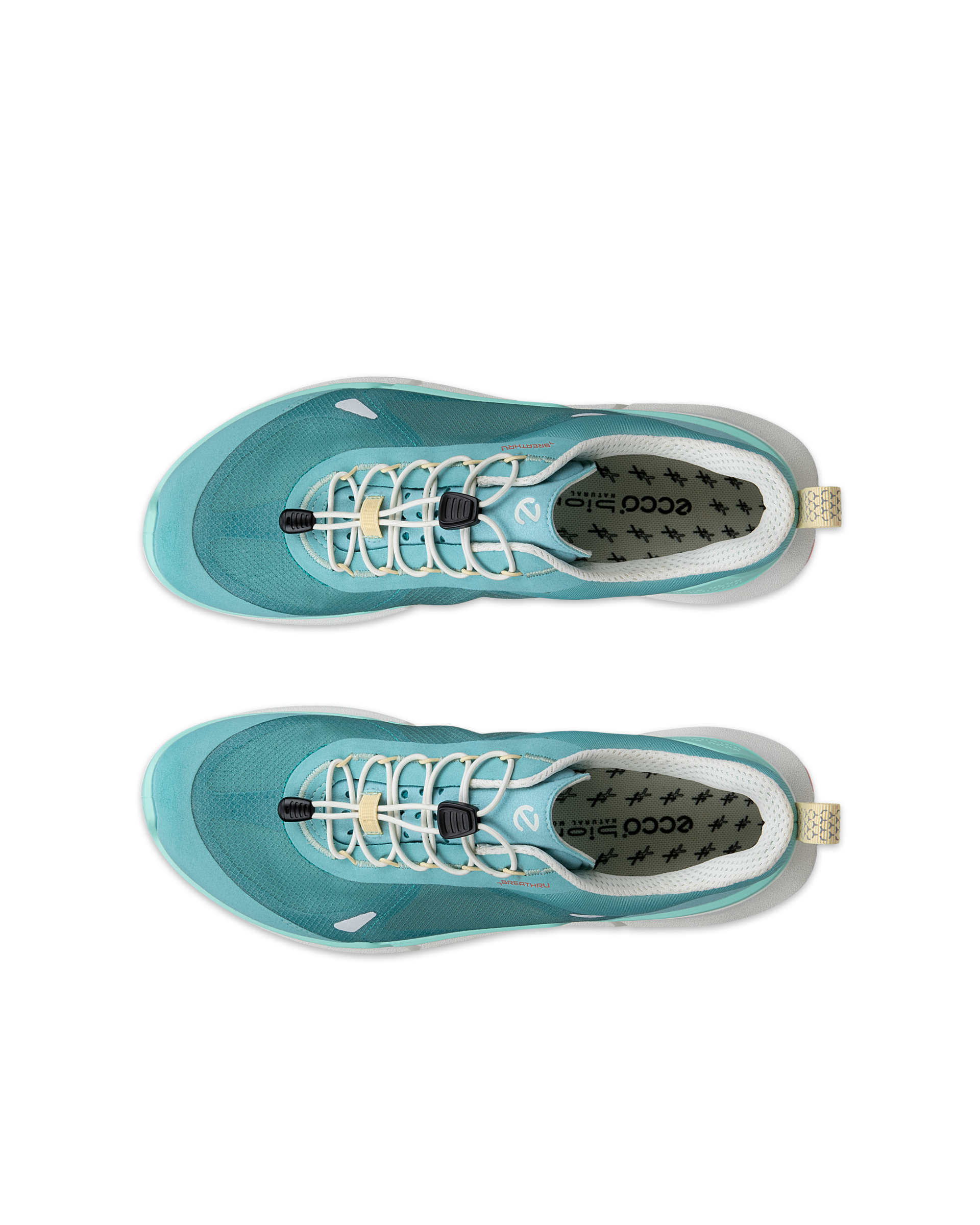ECCO BIOM 2.2 — Blue