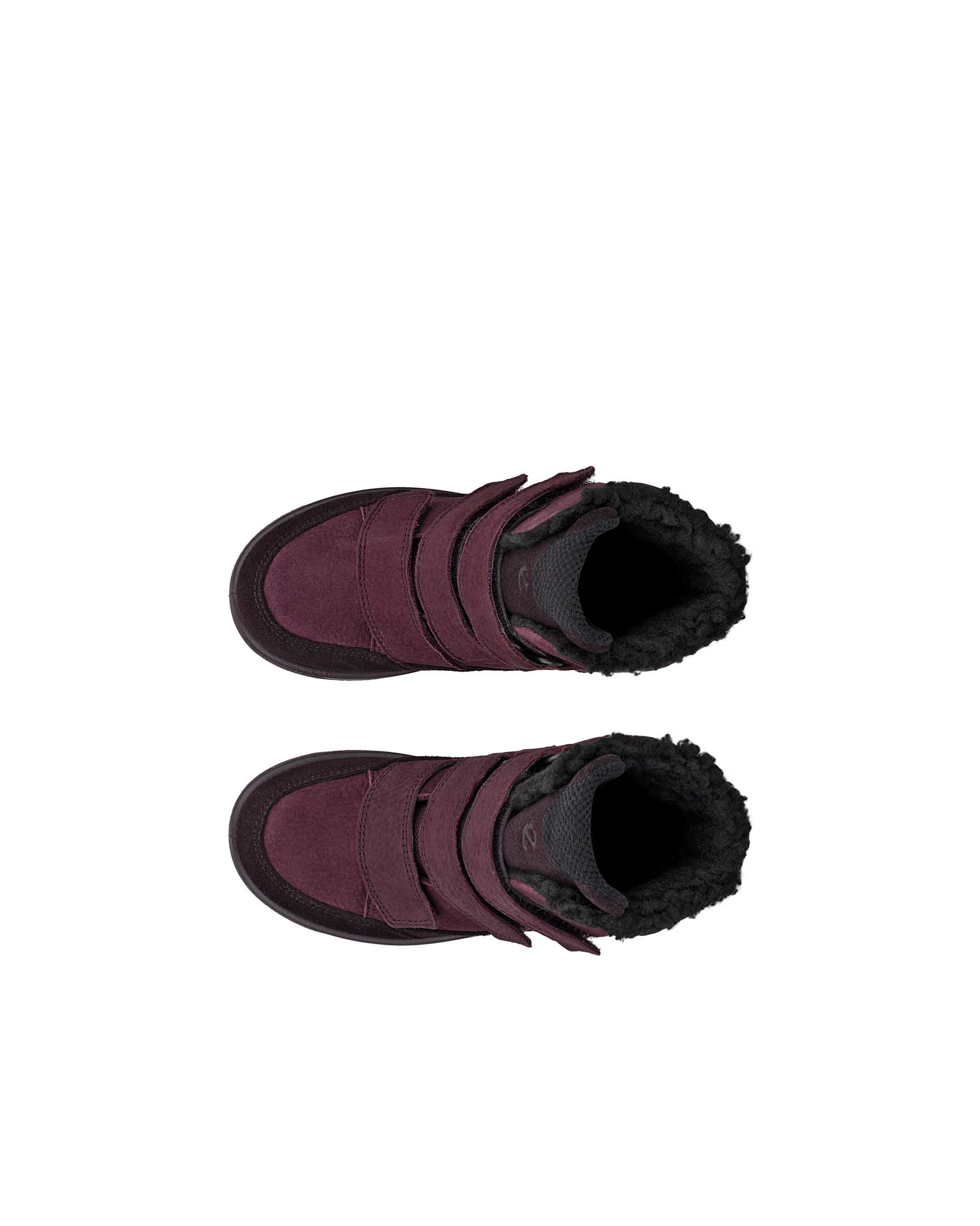ECCO URBAN SNOWBOARDER - Purple - Top left pair