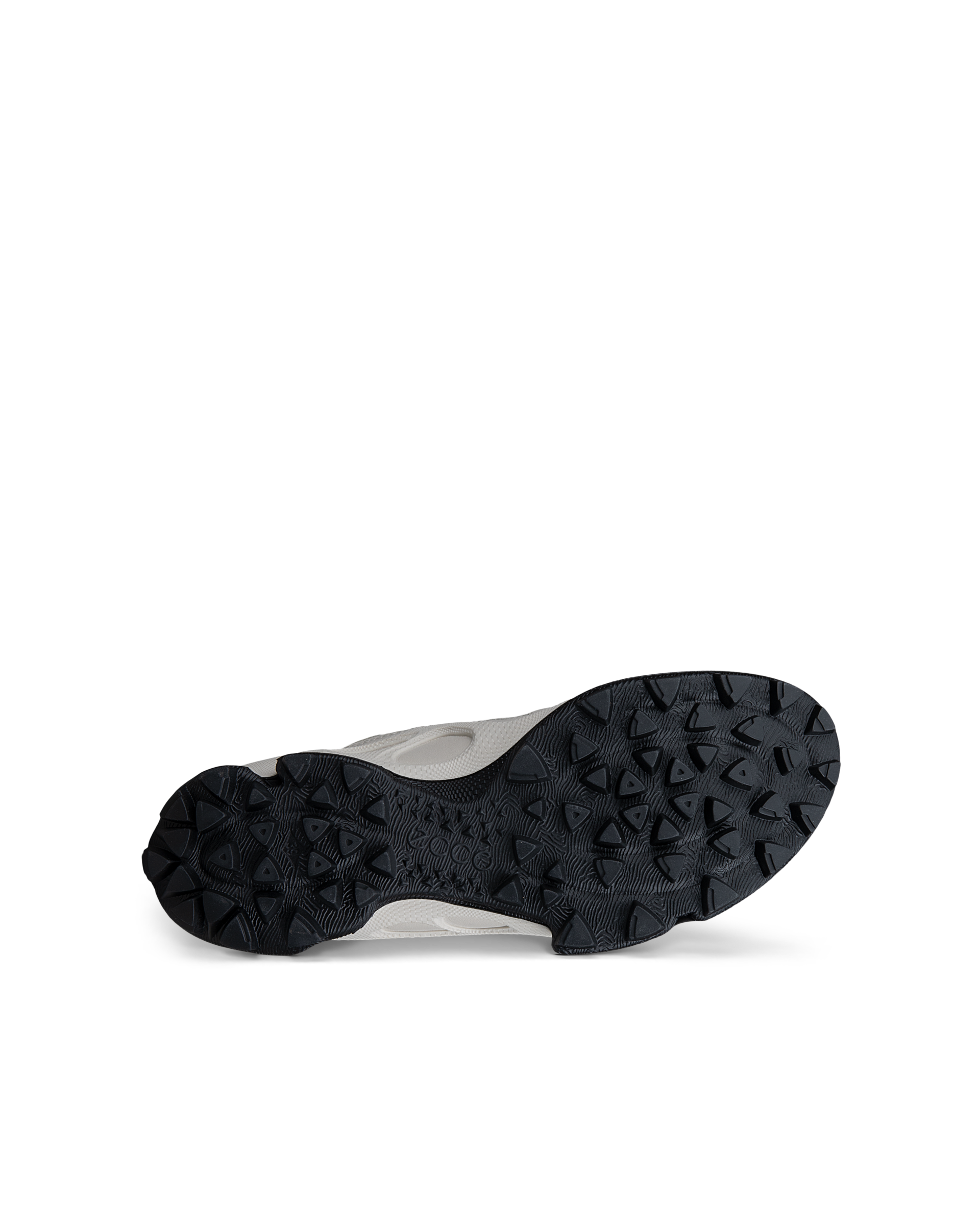 ECCO BIOM C-TRAIL — Grey