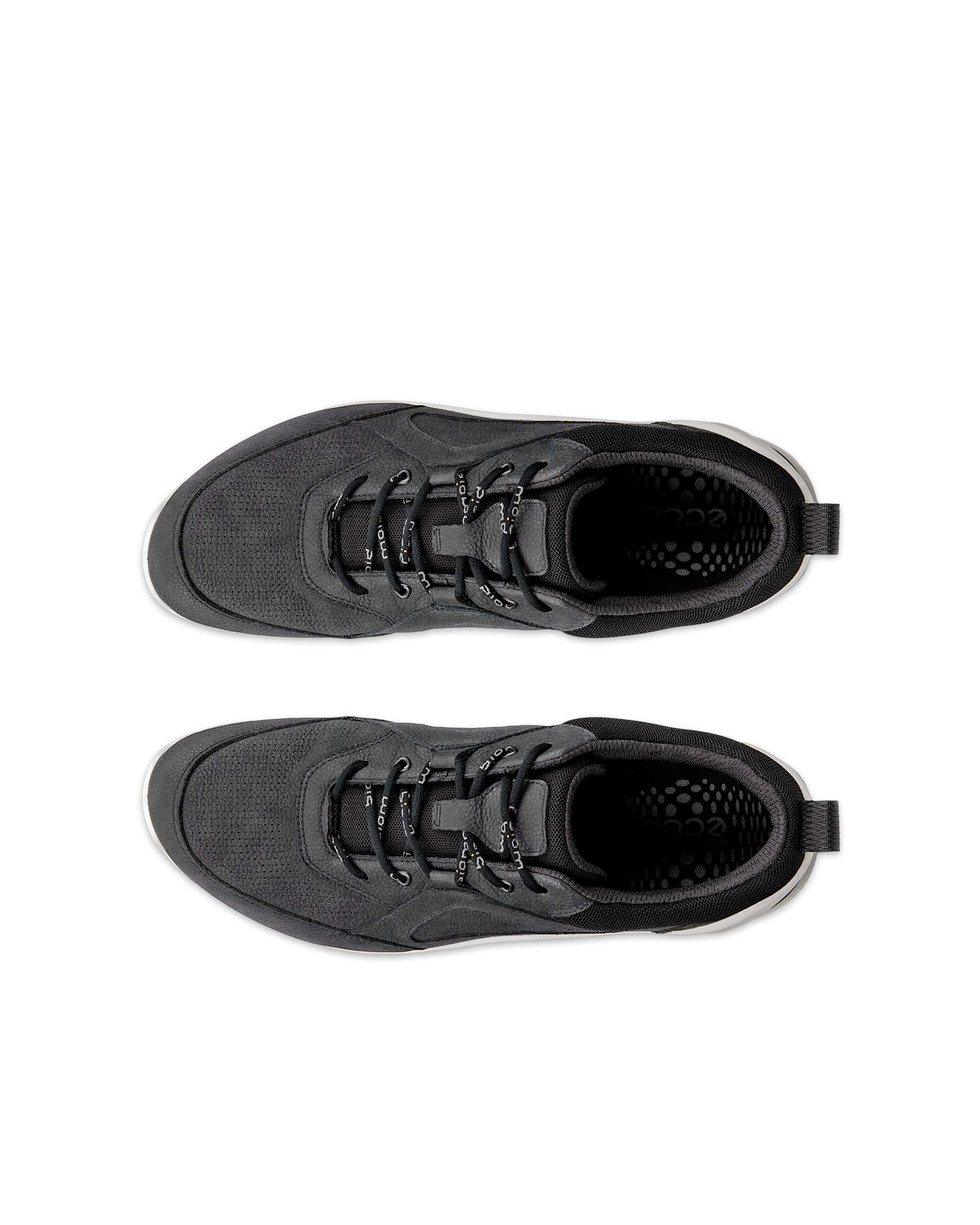 ECCO BIOM ENERGI — Black