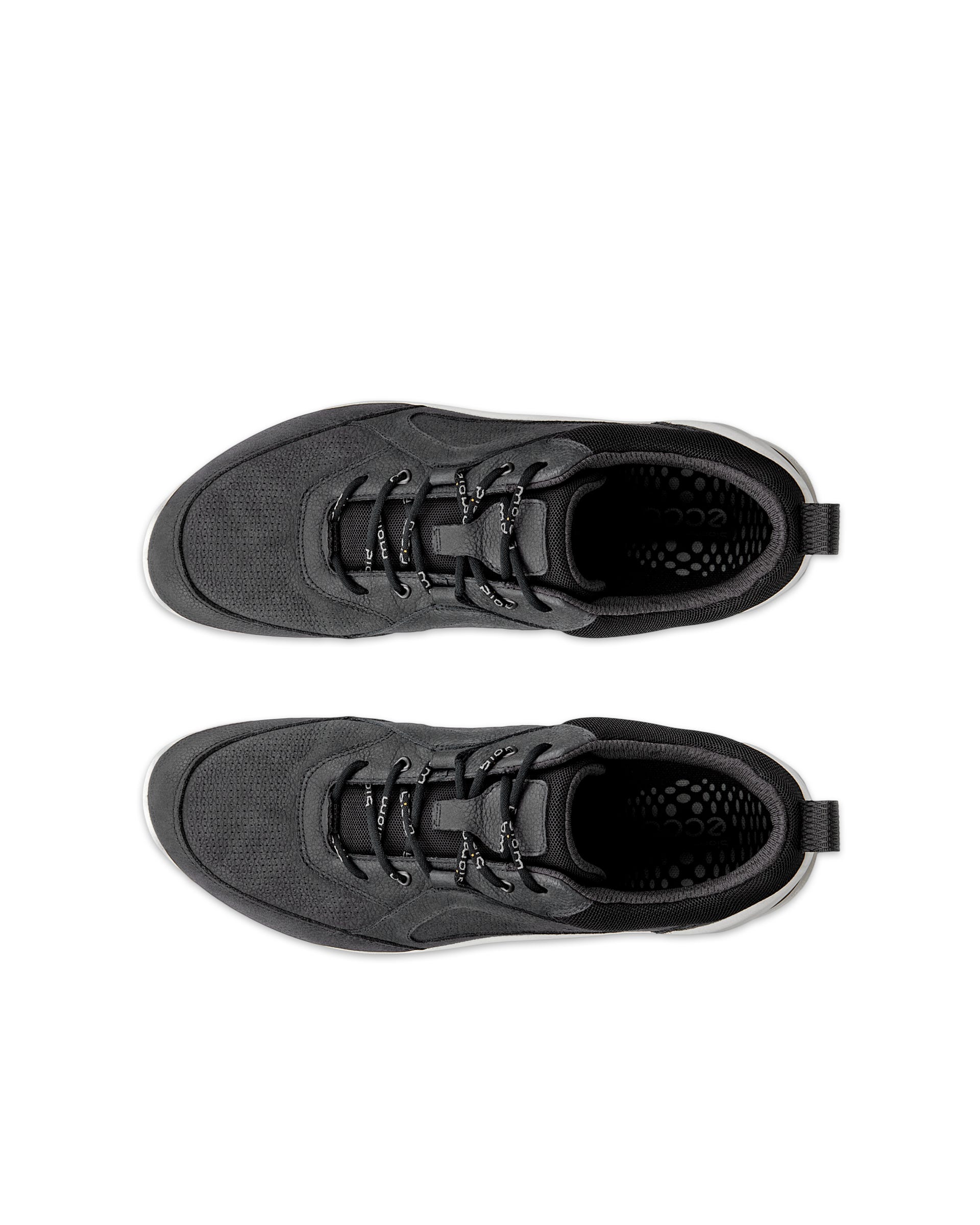 Men's ECCO® Biom Energi Nubuck Sneaker