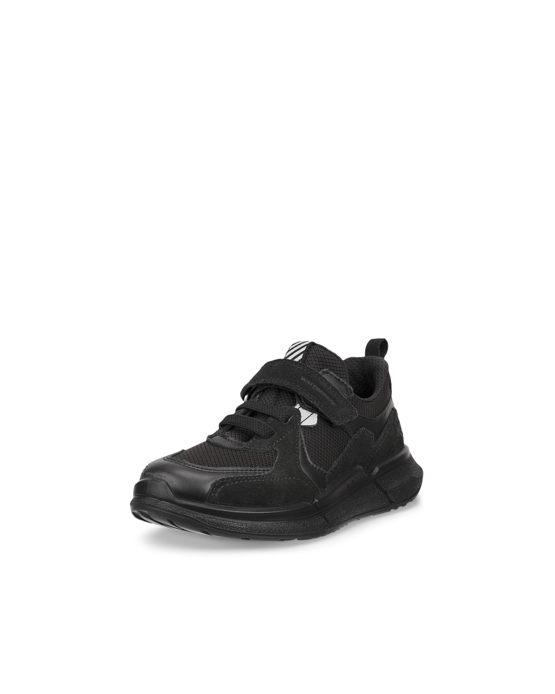 ECCO BIOM 2.2 — Black
