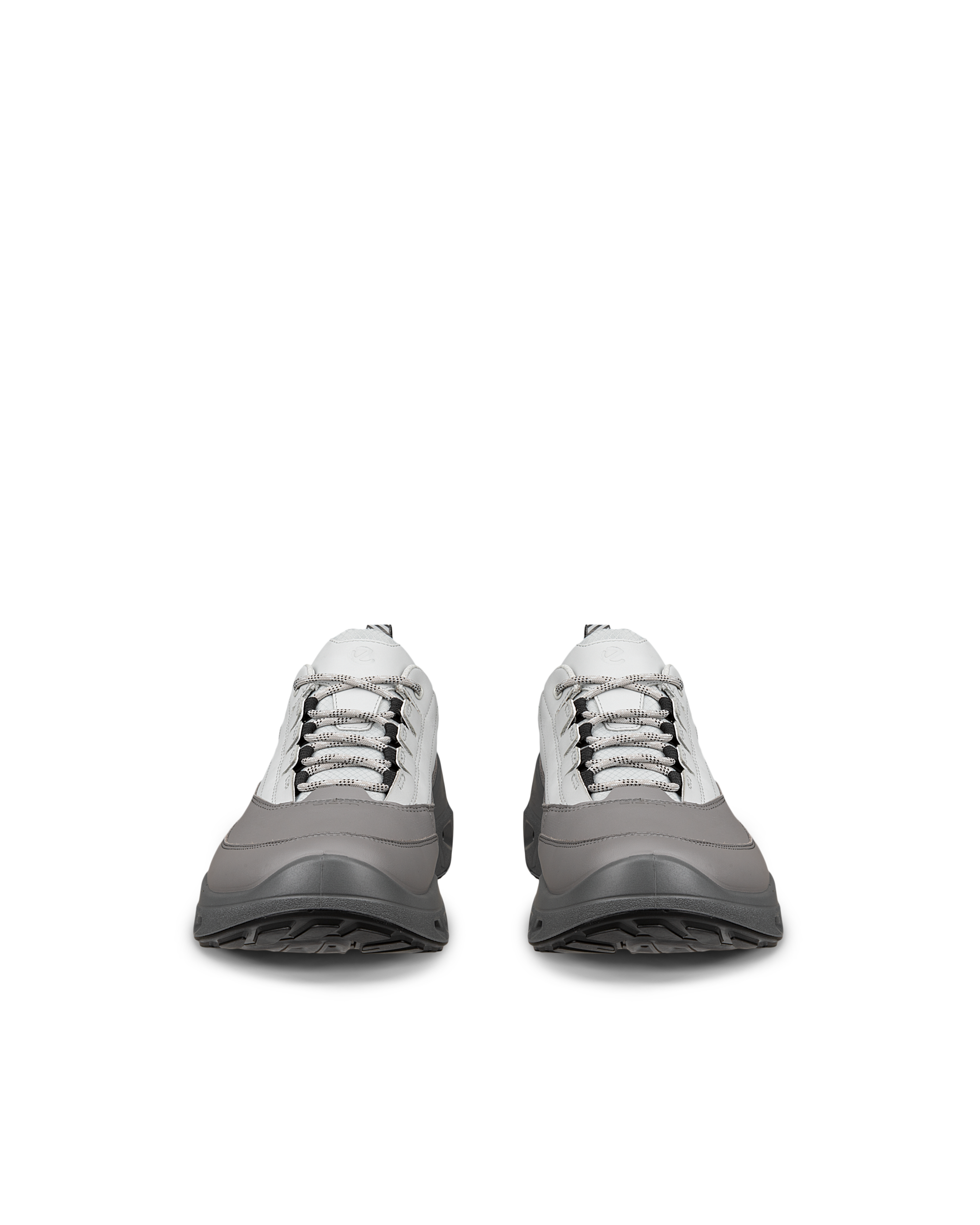 ECCO Biom 720 Gore-Tex — Gray